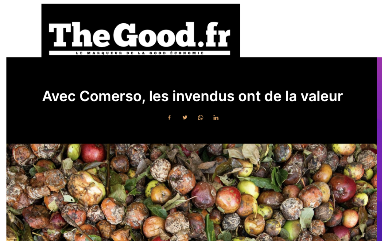 The Good.fr.png