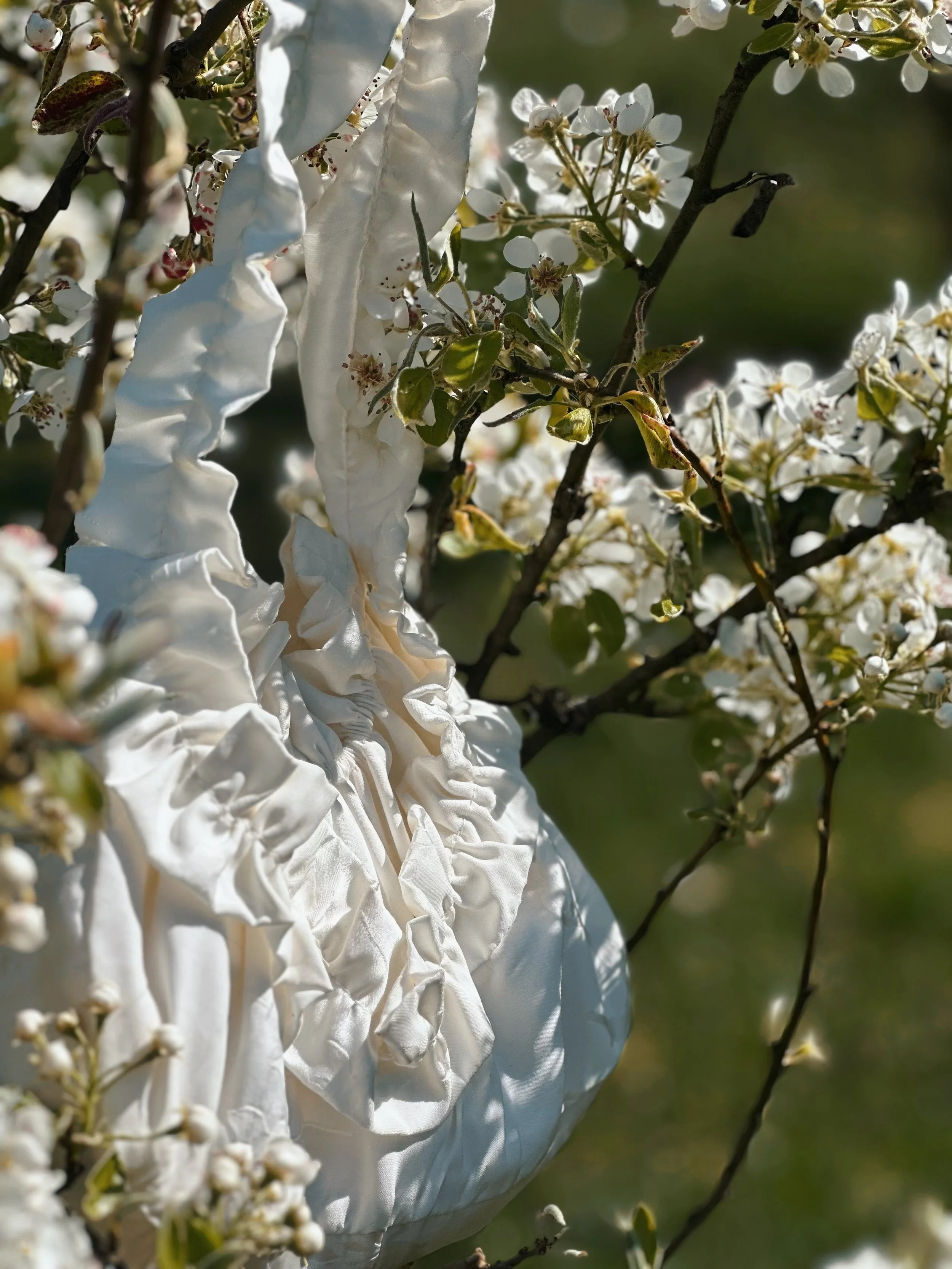 Une robe de mariage suspendue dans un arbre en fleurs, avec des petites fleurs blanches.