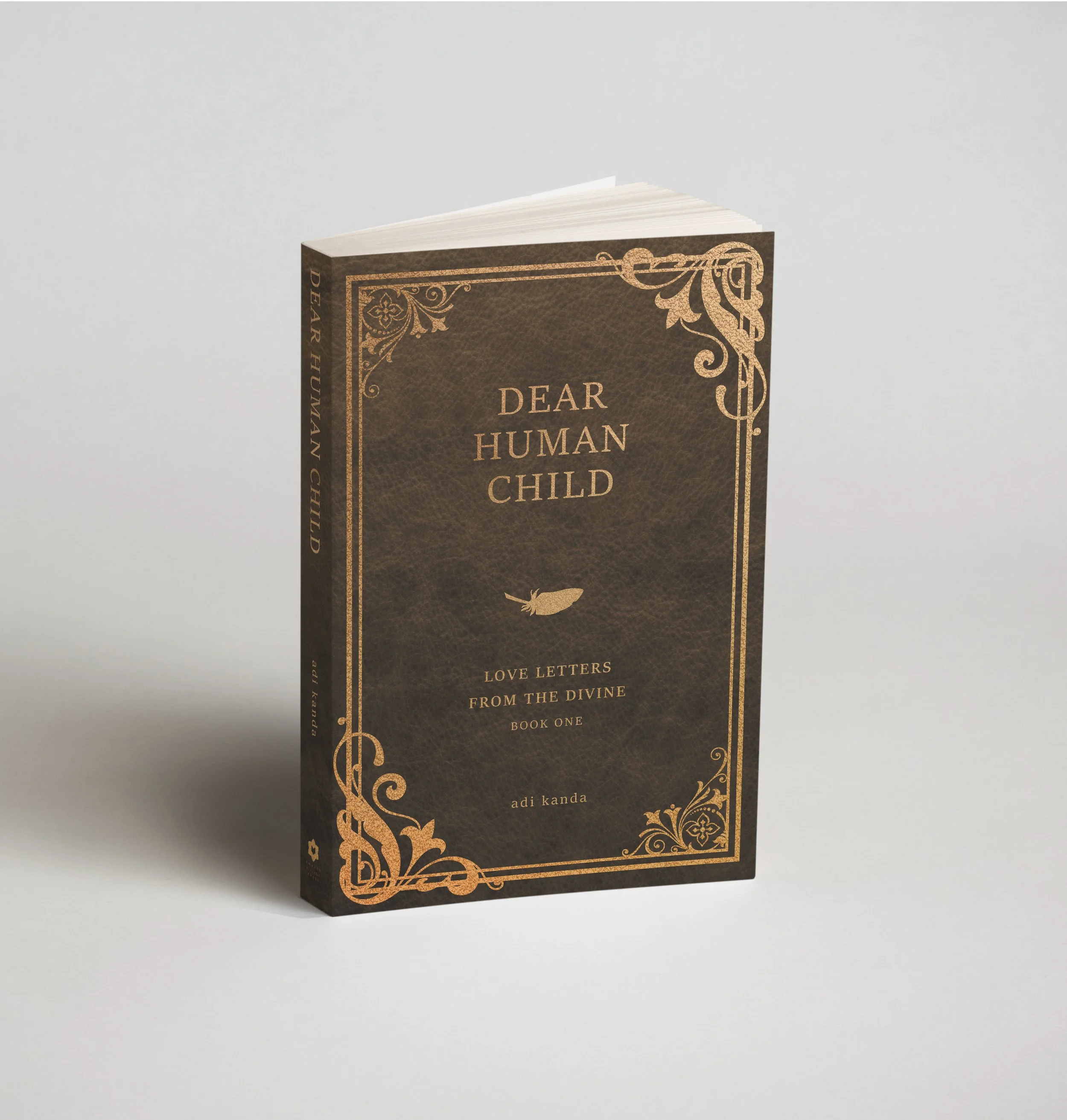 Copy of DHC Book mockup 01 (1).jpeg