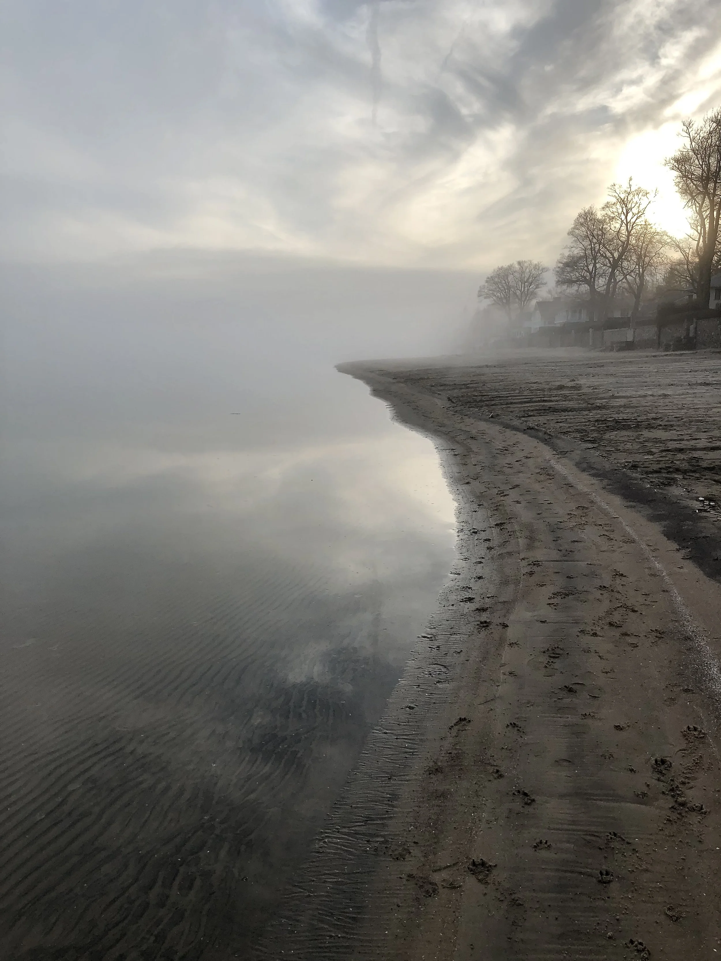 A stunning early morning foggy beach stretching into the horizon, with calm water, sandy shoreline, and trees in the distance.