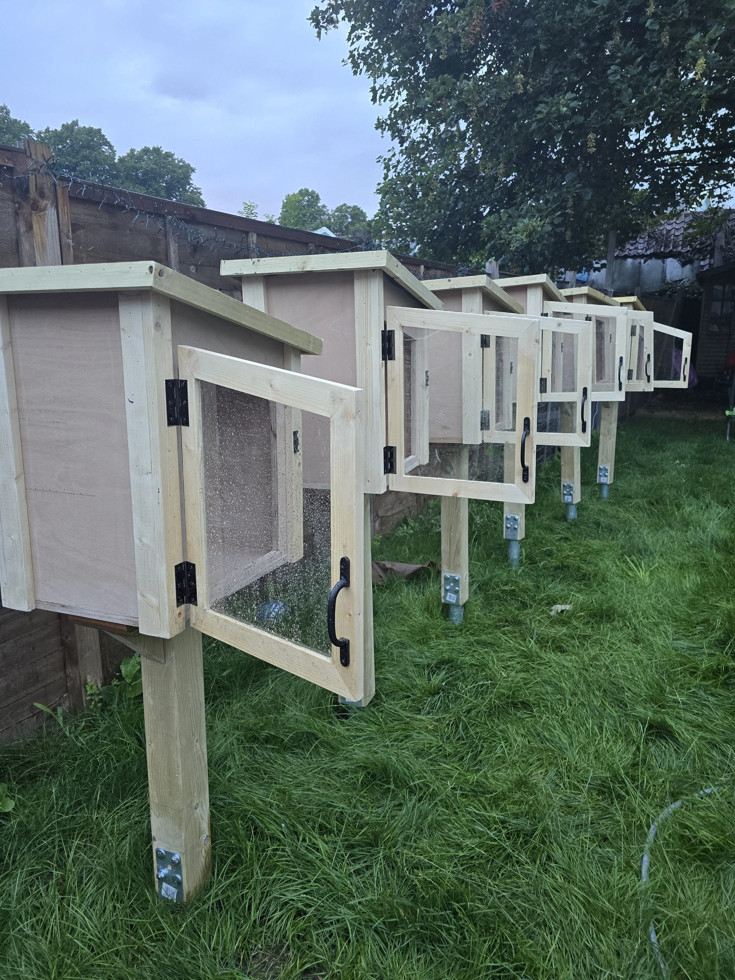 Multiple wooden outdoor enclosures with glass doors, likely for small animals or birdhouses, placed on metal and wooden supports in a grassy yard.