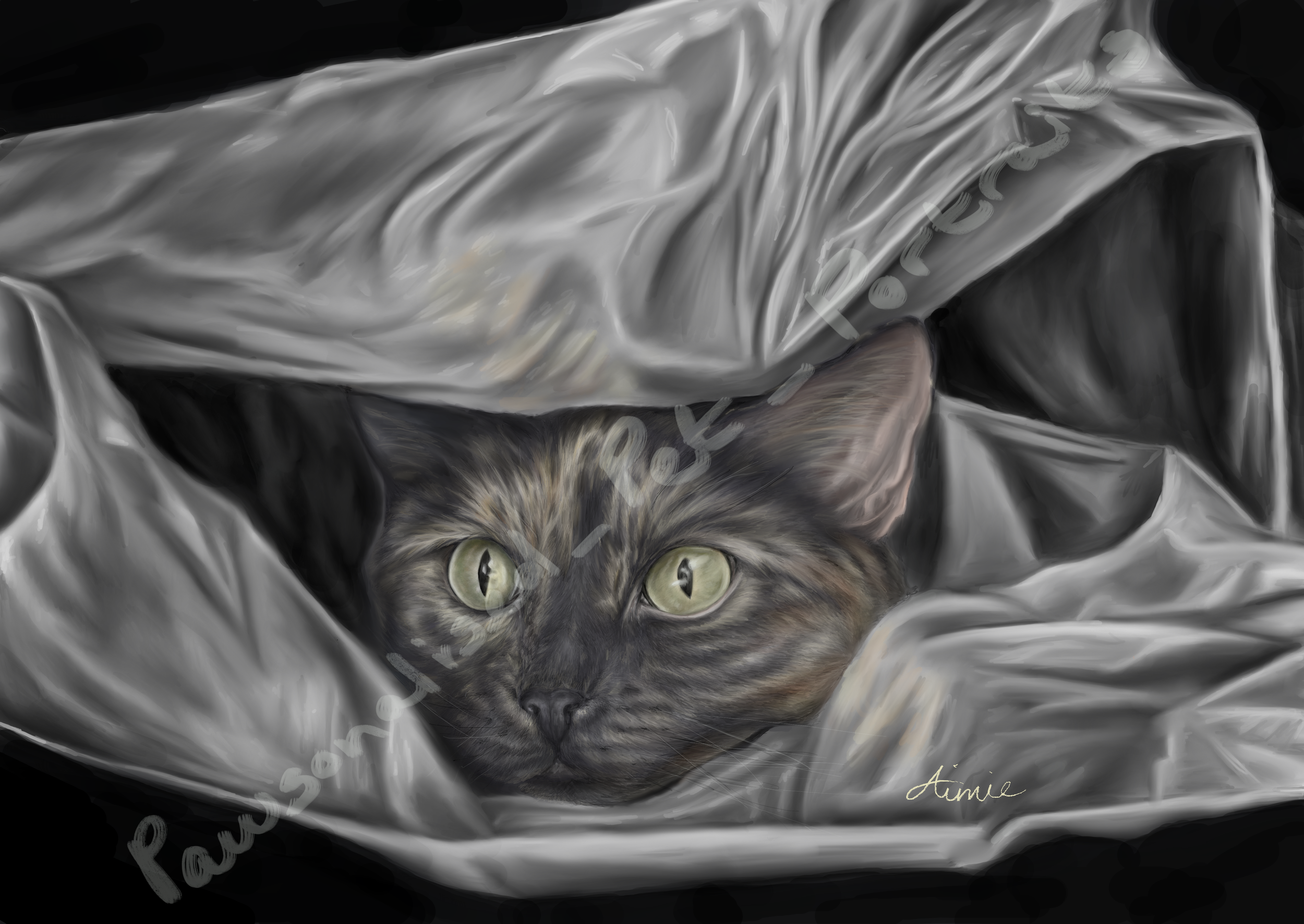 Hide_and_Seek.png