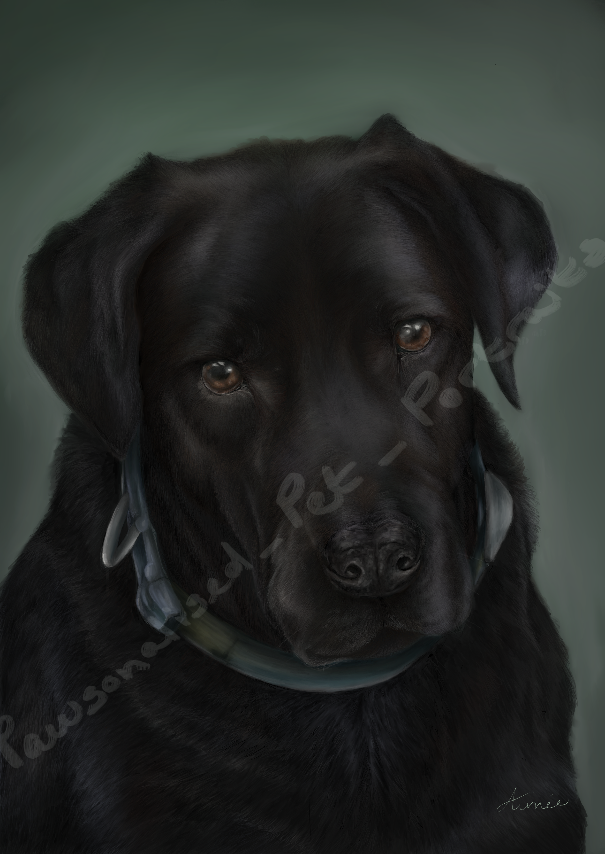 Brandy PNG WaterMark.png