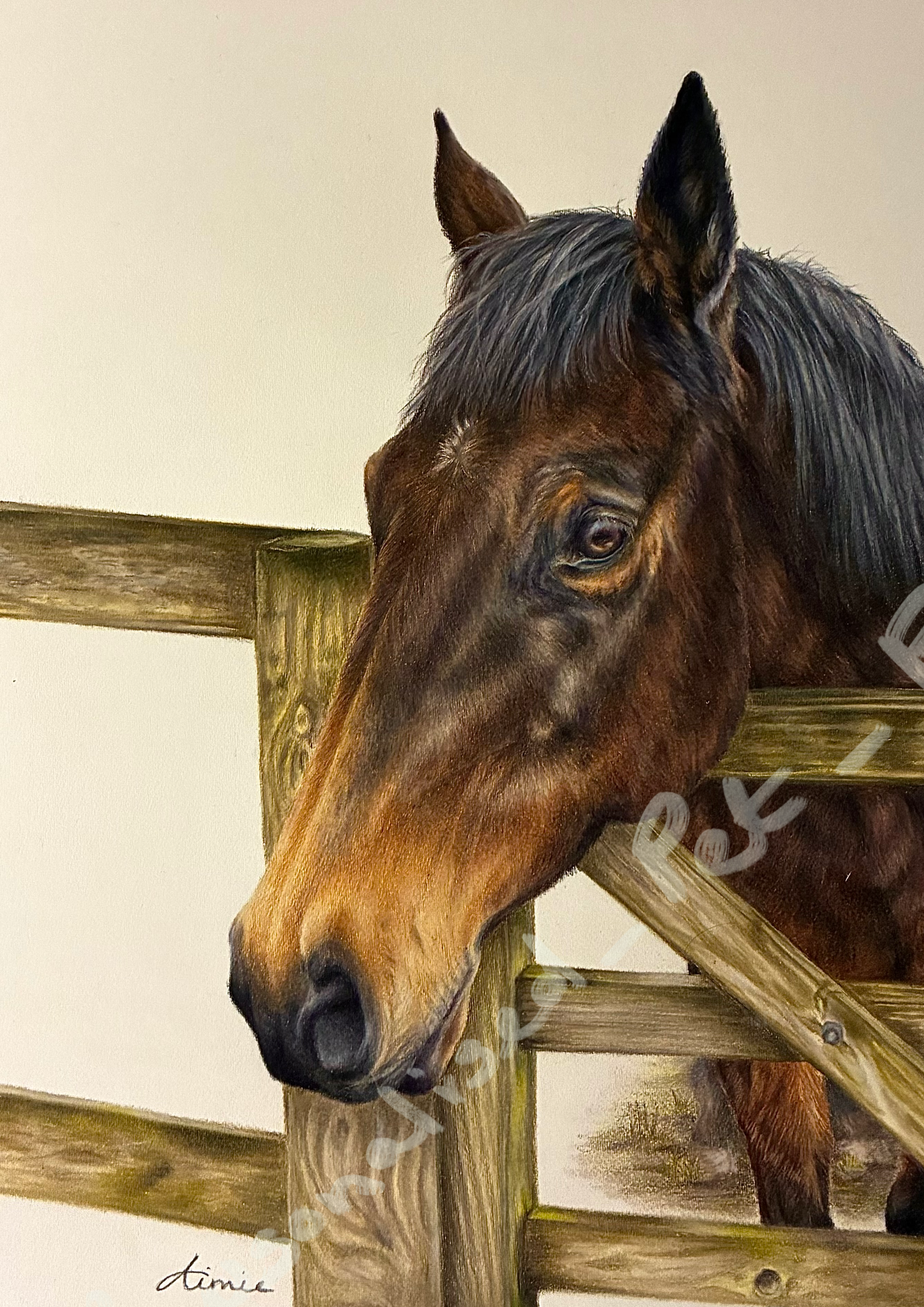 Star PNG Water Mark.png