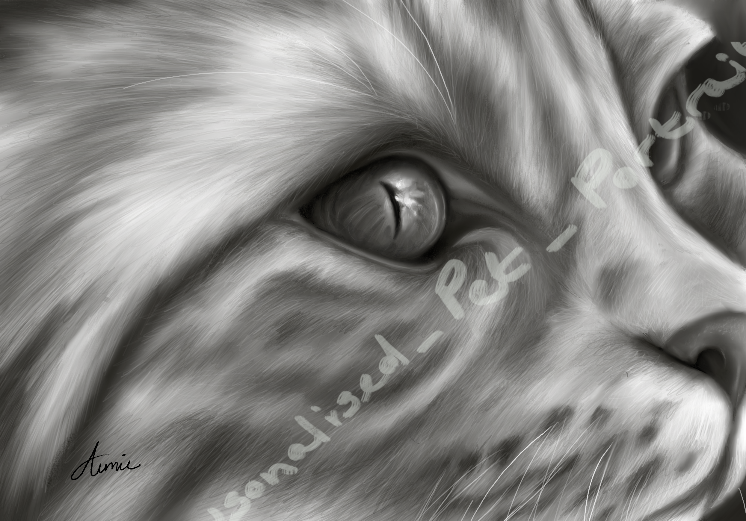 Through the Cat's Eye PNG WaterMark.png