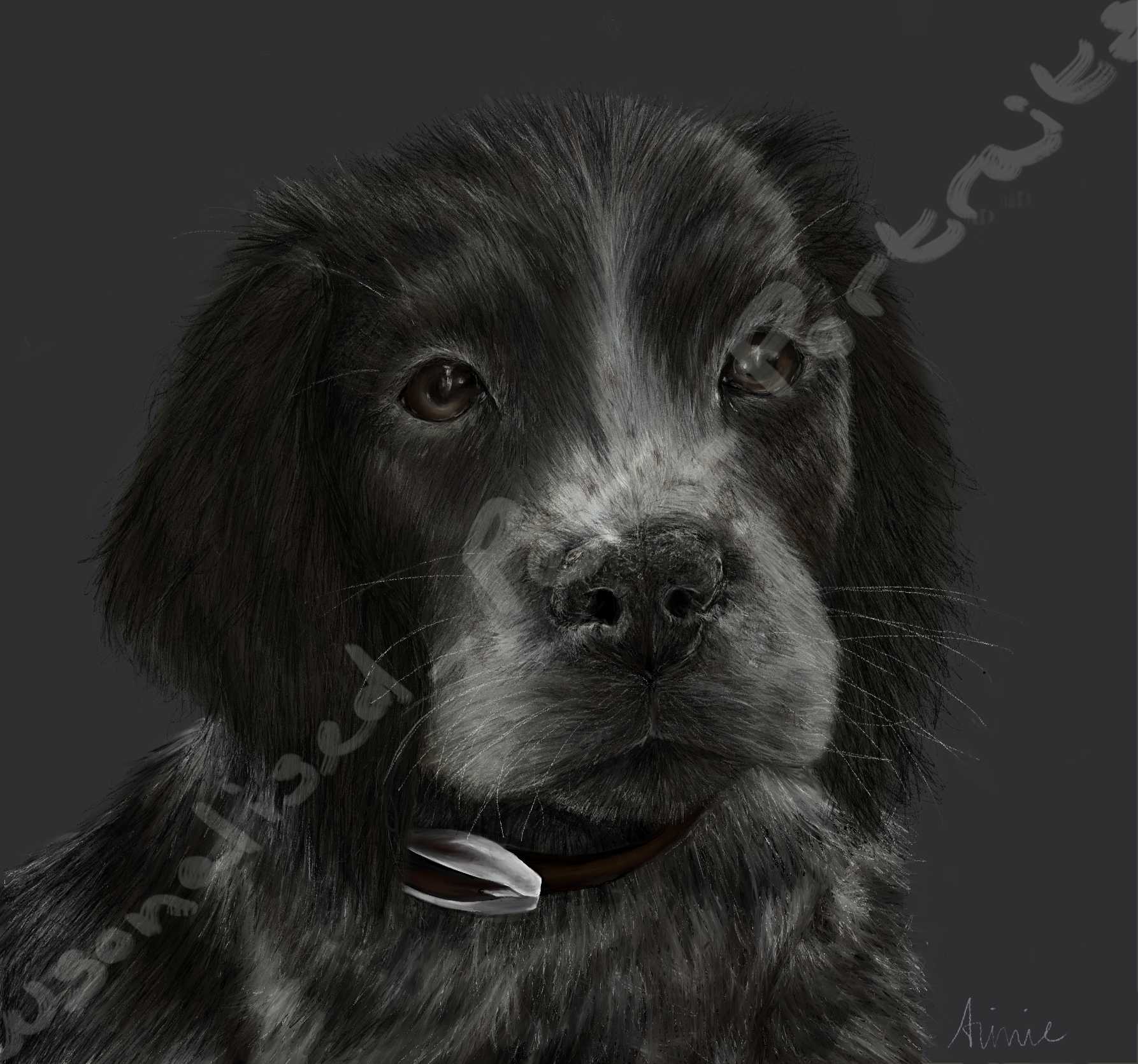 Obie.png