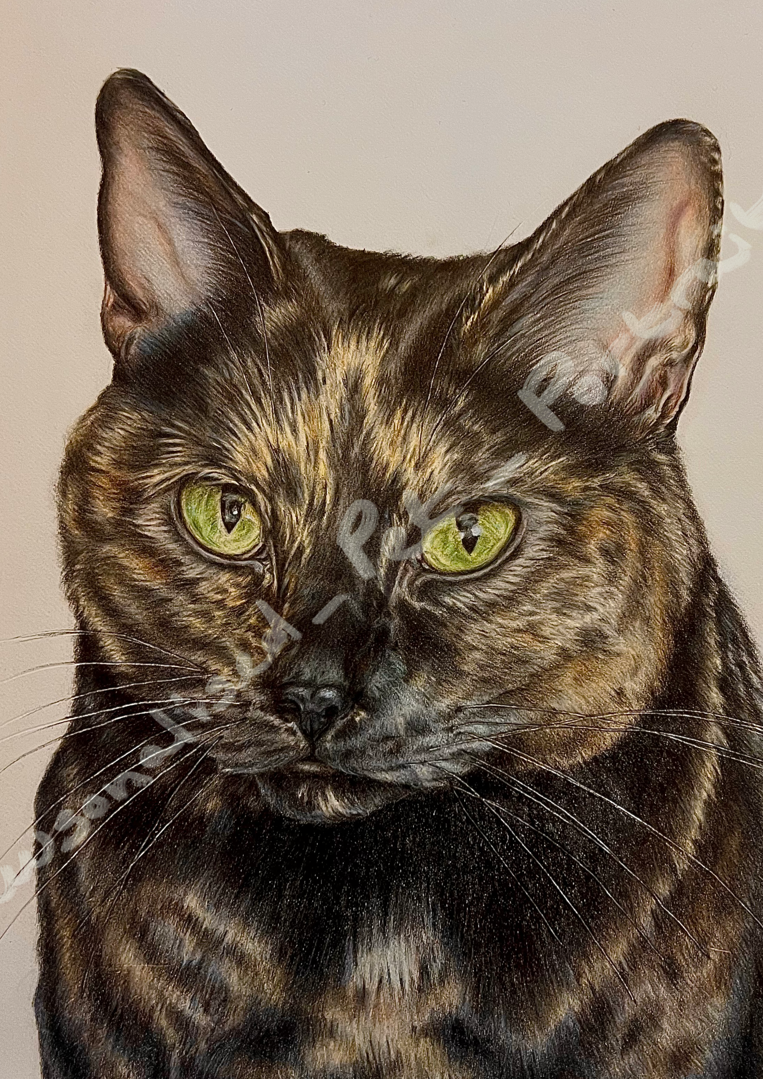 Fudge PNG Water Mark.png