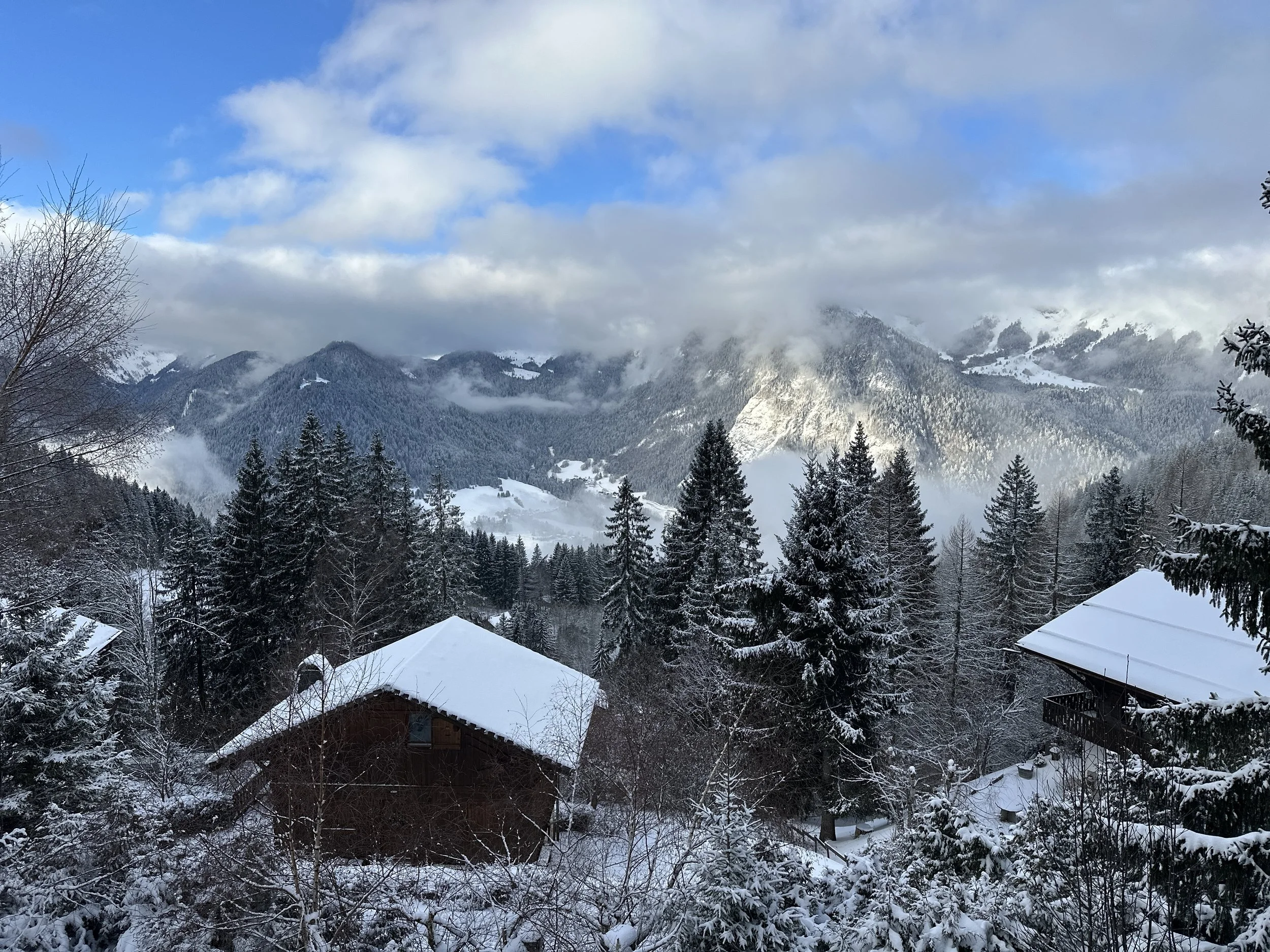 Quand la vie ne suit pas le plan