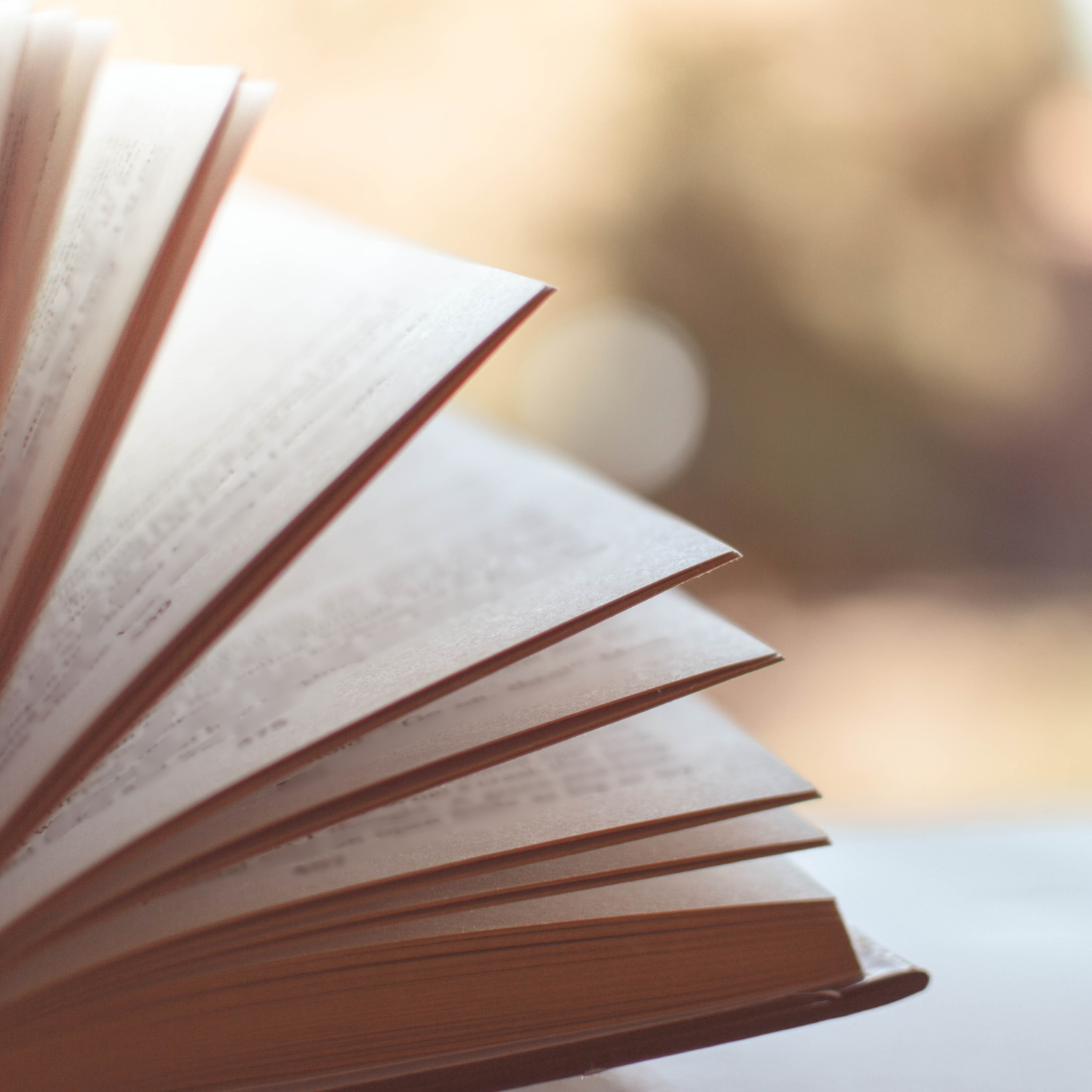 Why BARBRI? The Next Chapter for SkillBurst