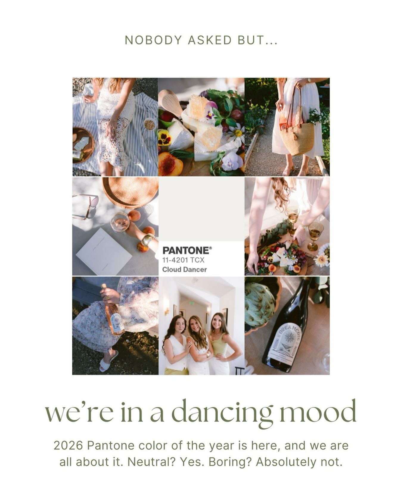 Meet Cloud Dancer (Pantone 11-4201), your new &ldquo;blank-canvas&rdquo; BFF. Some might call it &ldquo;just white.&rdquo; We call it creative freedom.

✨ Why we LOVE it:

It&rsquo;s a soft white - airy and calm, not harsh or clinical. A clean slate 