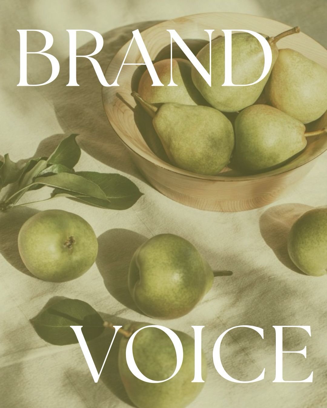 Your brand voice matters more than you think.

We love helping clients define their brand voice because it TRULY does matter.

The words you deliberately choose to use and choose to NOT use when talking about and promoting your brand matter! 

The wo