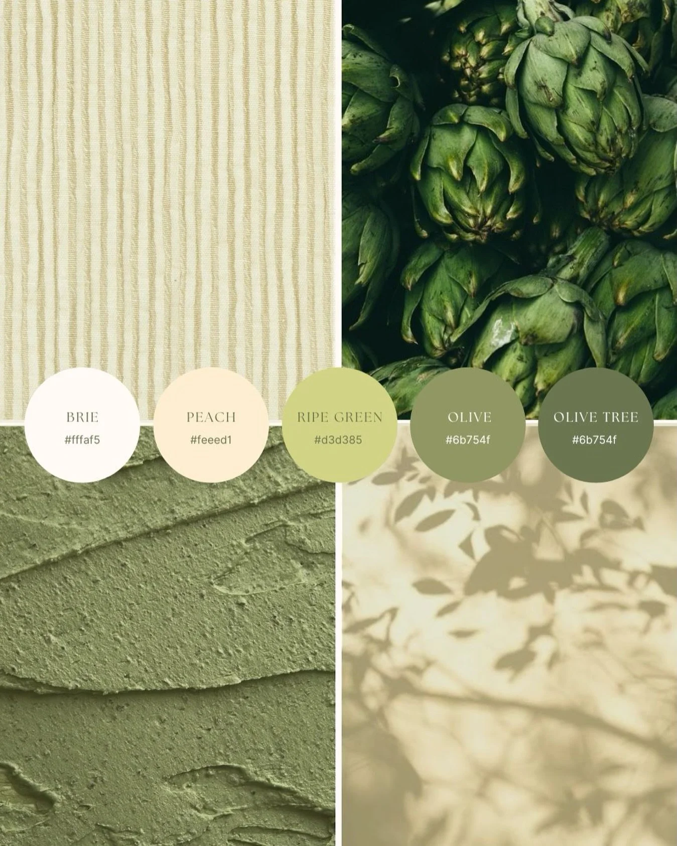 Color sets the tone before you ever say a word.

Before the logo.
Before the fonts.
Before the strategy deck.

At Vive, we don&rsquo;t just &ldquo;pick pretty colors.&rdquo;

We choose tones that carry your message and shape how your audience feels a