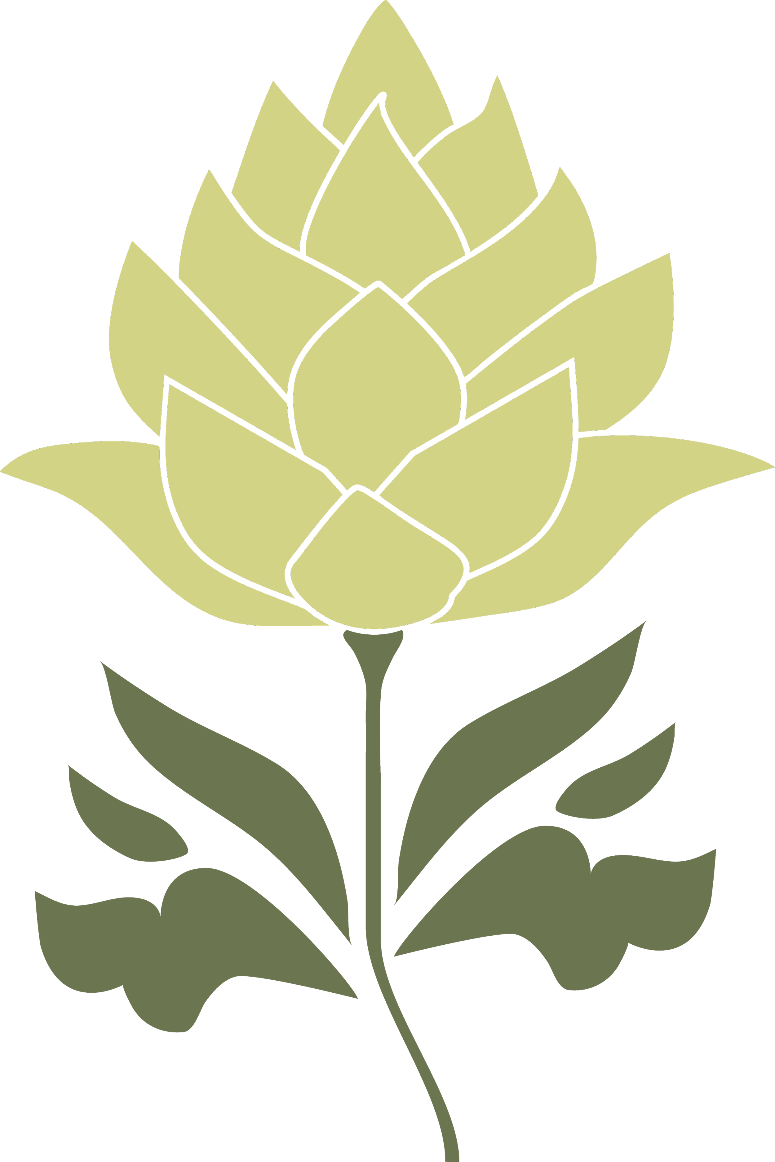 Stylized illustration of a green artichoke plant with large leaves on a black background.
