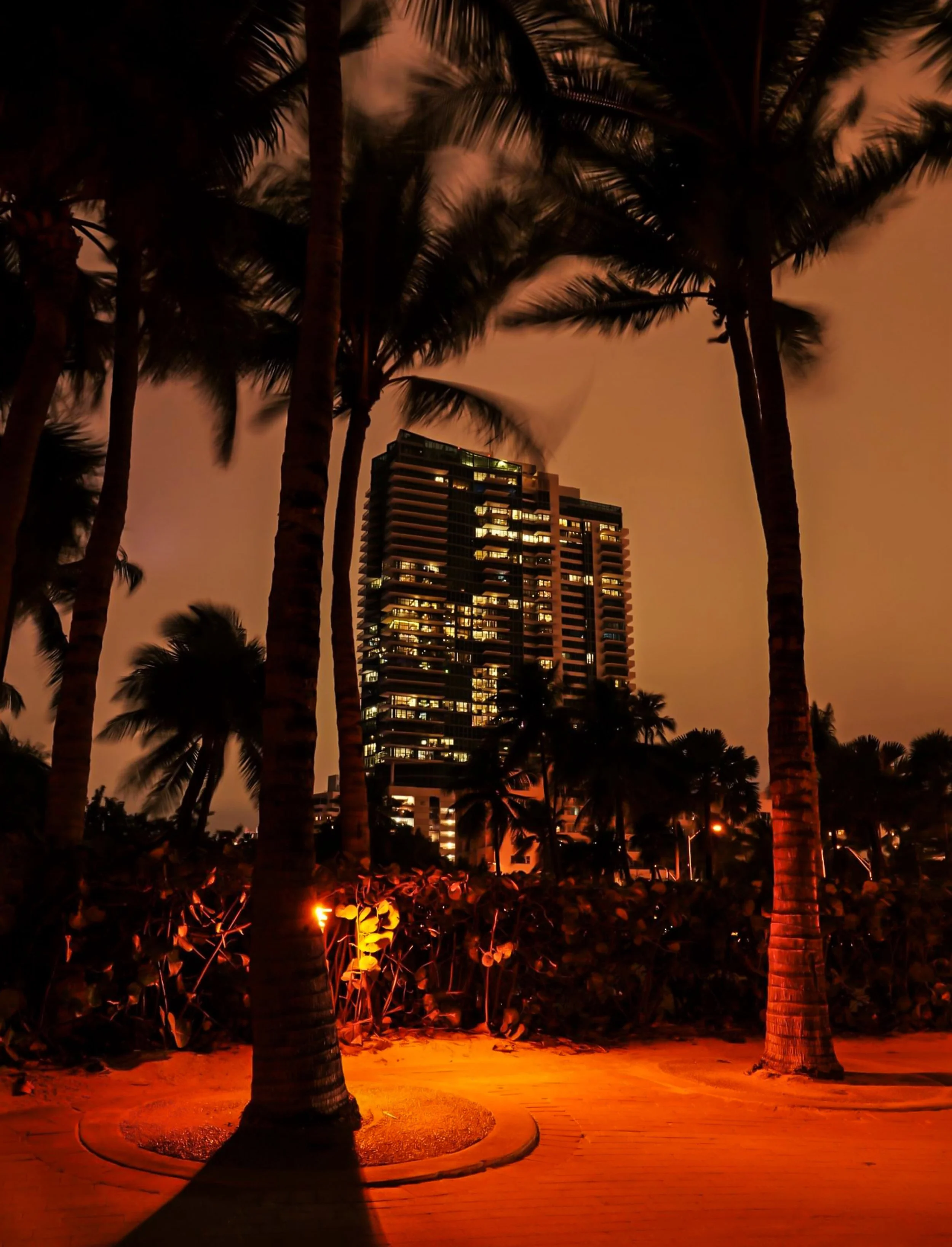 2024-02-16 Miami USA.jpeg