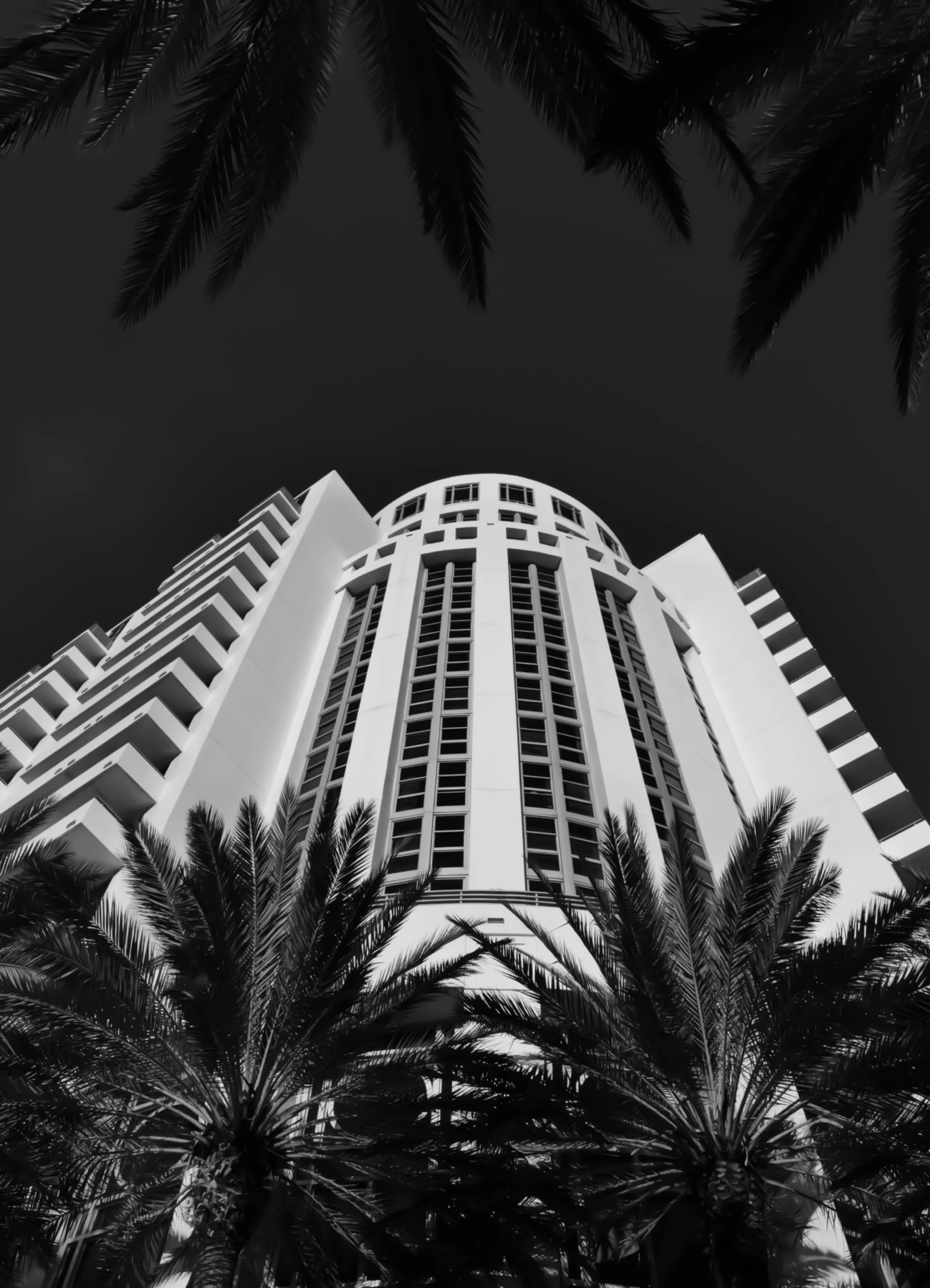 2024-02-16 Miami USA .jpeg