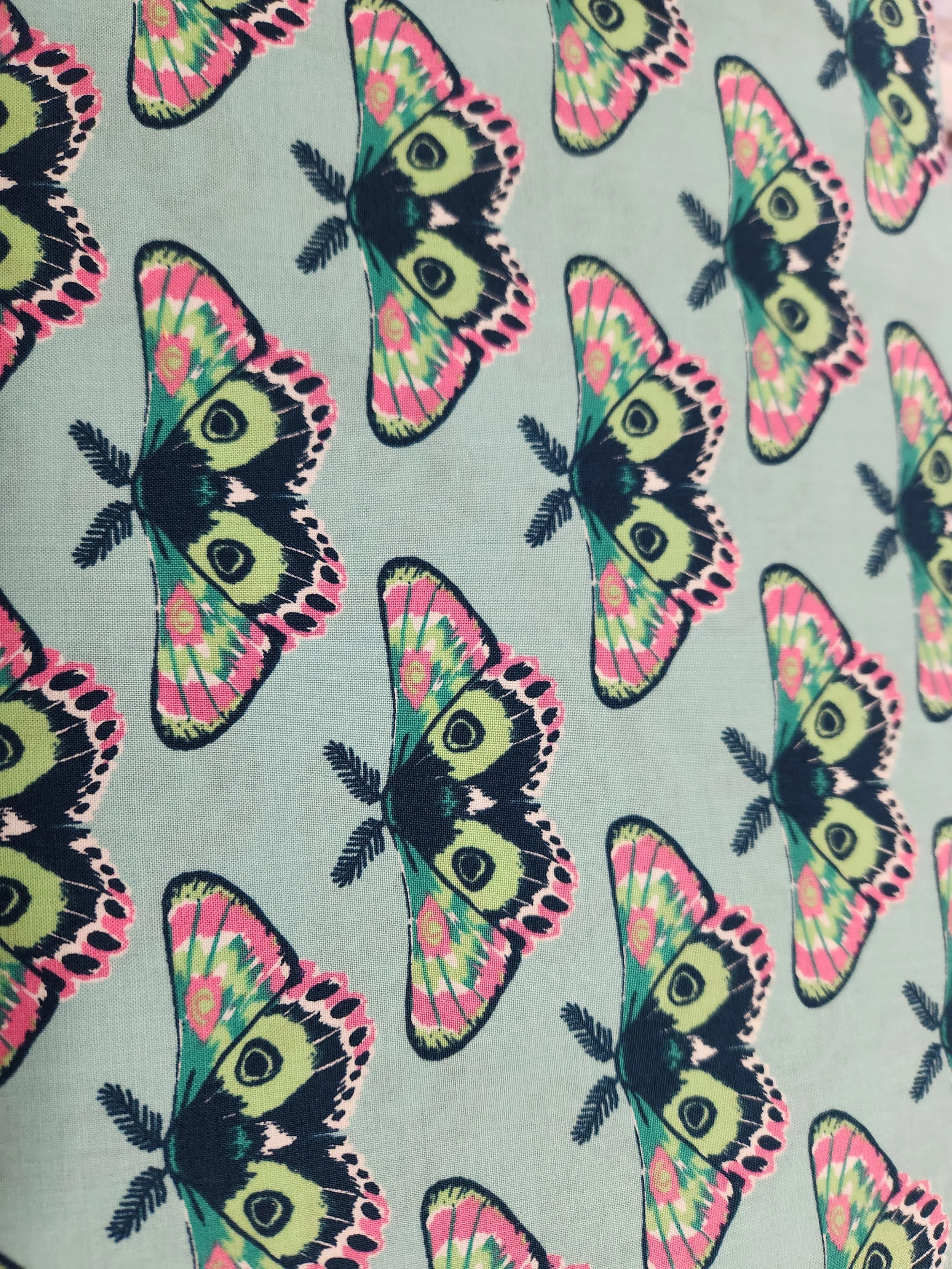 Firefly-Moths on Aqua