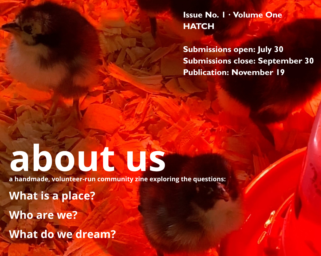 about us community zine: launch party and community reading