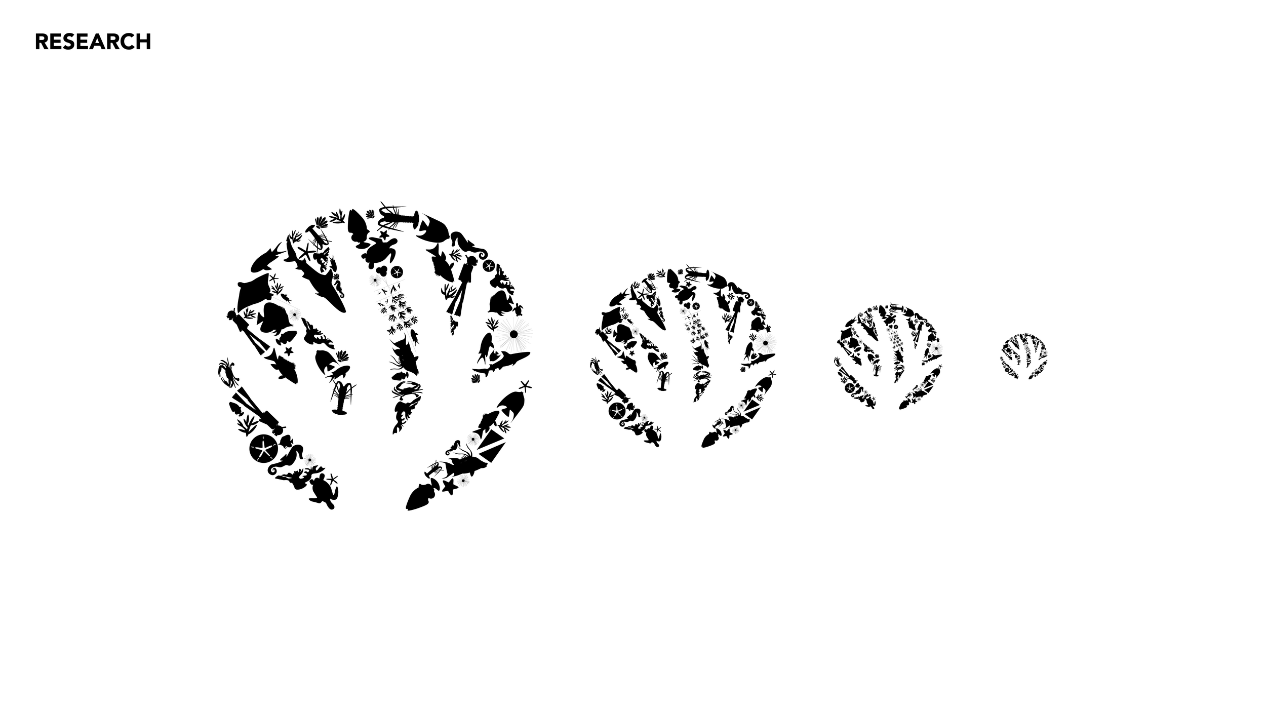 coralpaloozapitchdeck-06.png