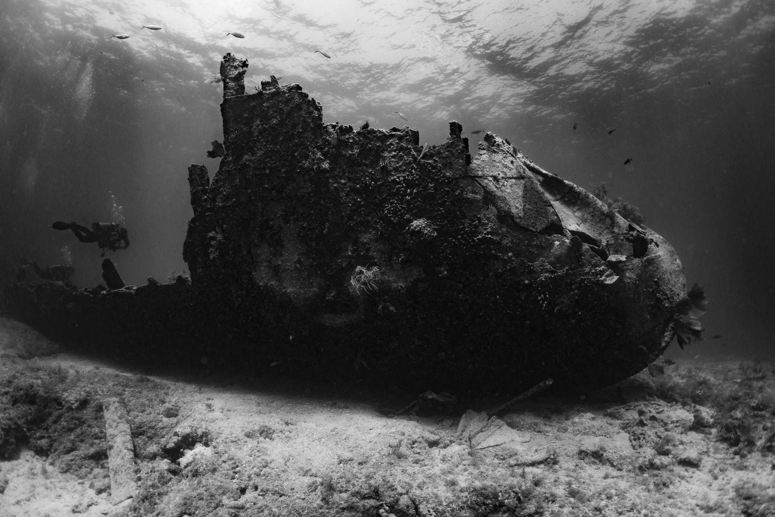 KeysDiveTrip_March2024-34.jpg