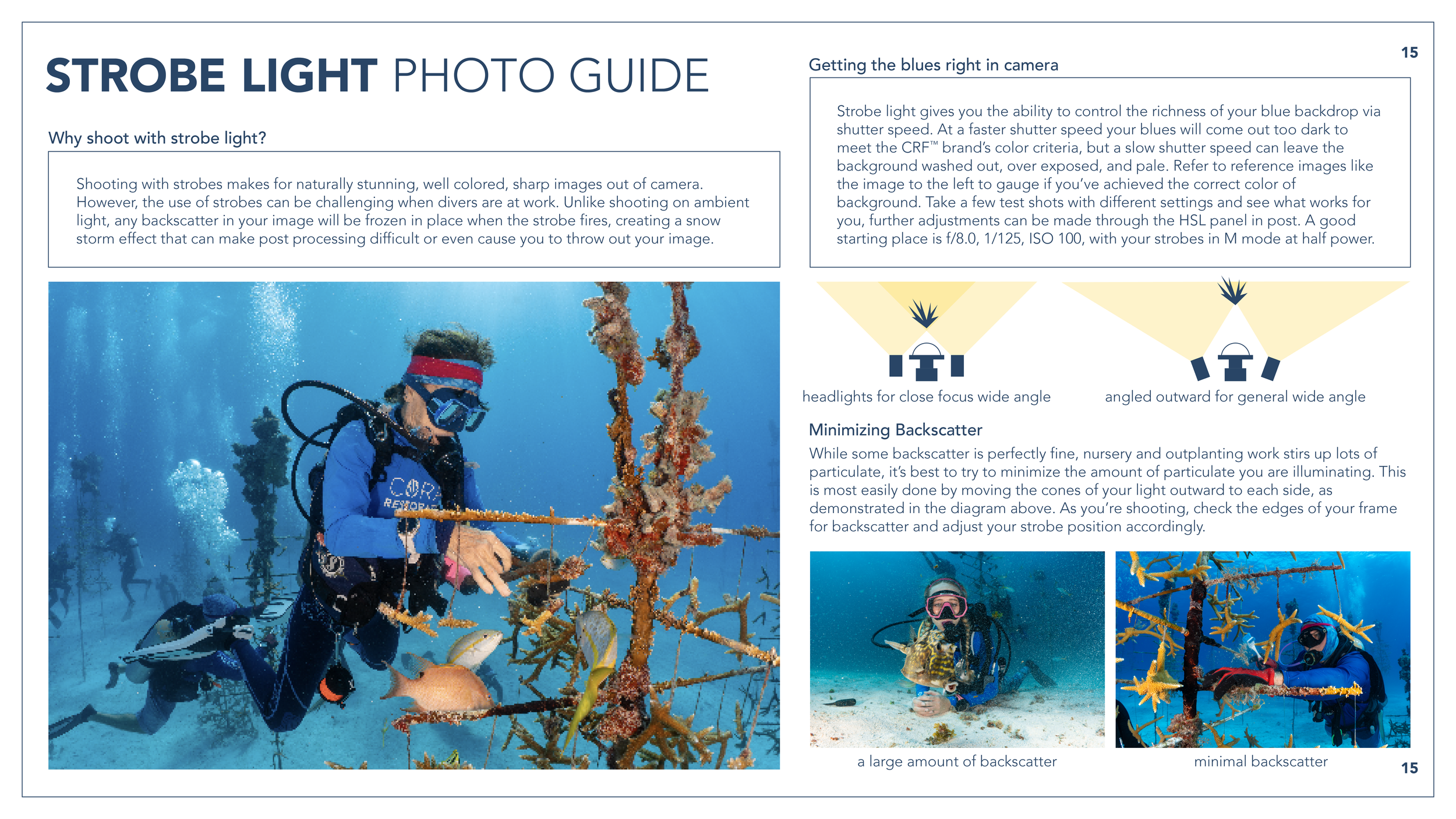 15CRF_Brandguide_Official_2024_Strobes.png