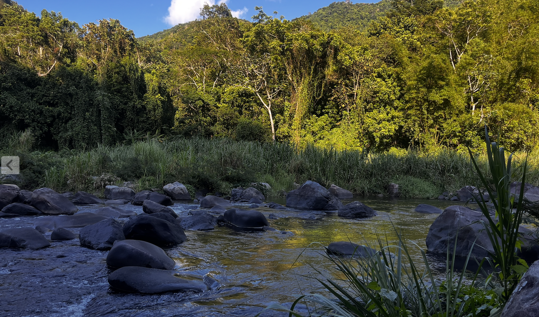 Redefining happiness: a year-end reflection to reconnect with your joy