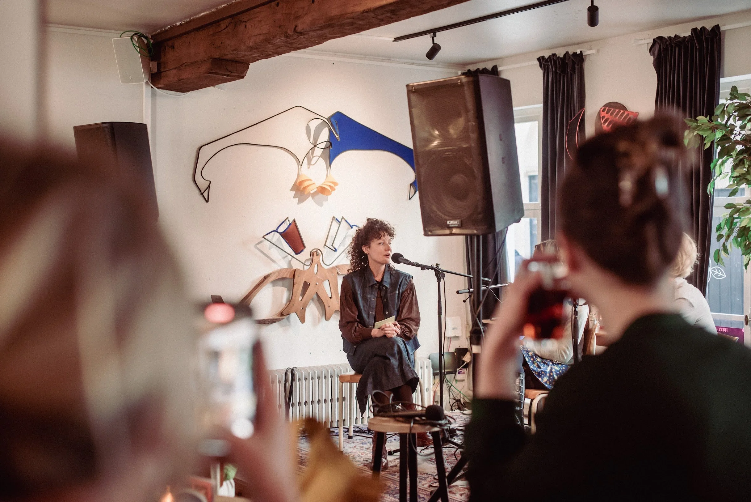 De Delicate Revolutie