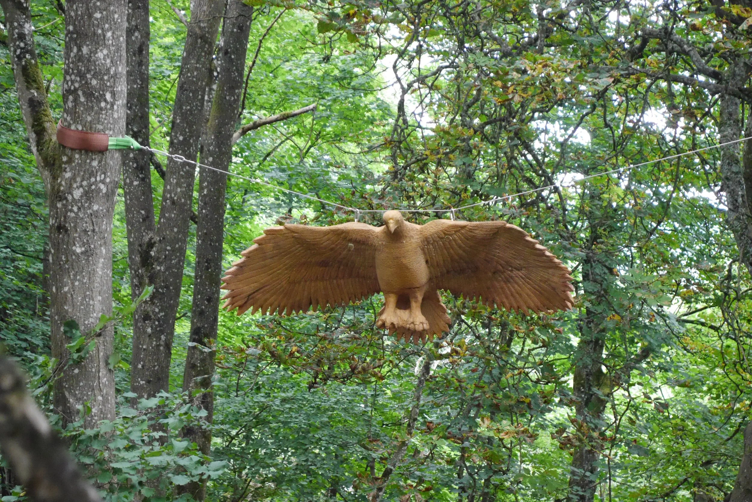 A wooden bird sculpture is suspended on a wire between trees in a forested area, with lush green leaves and trees in the background.