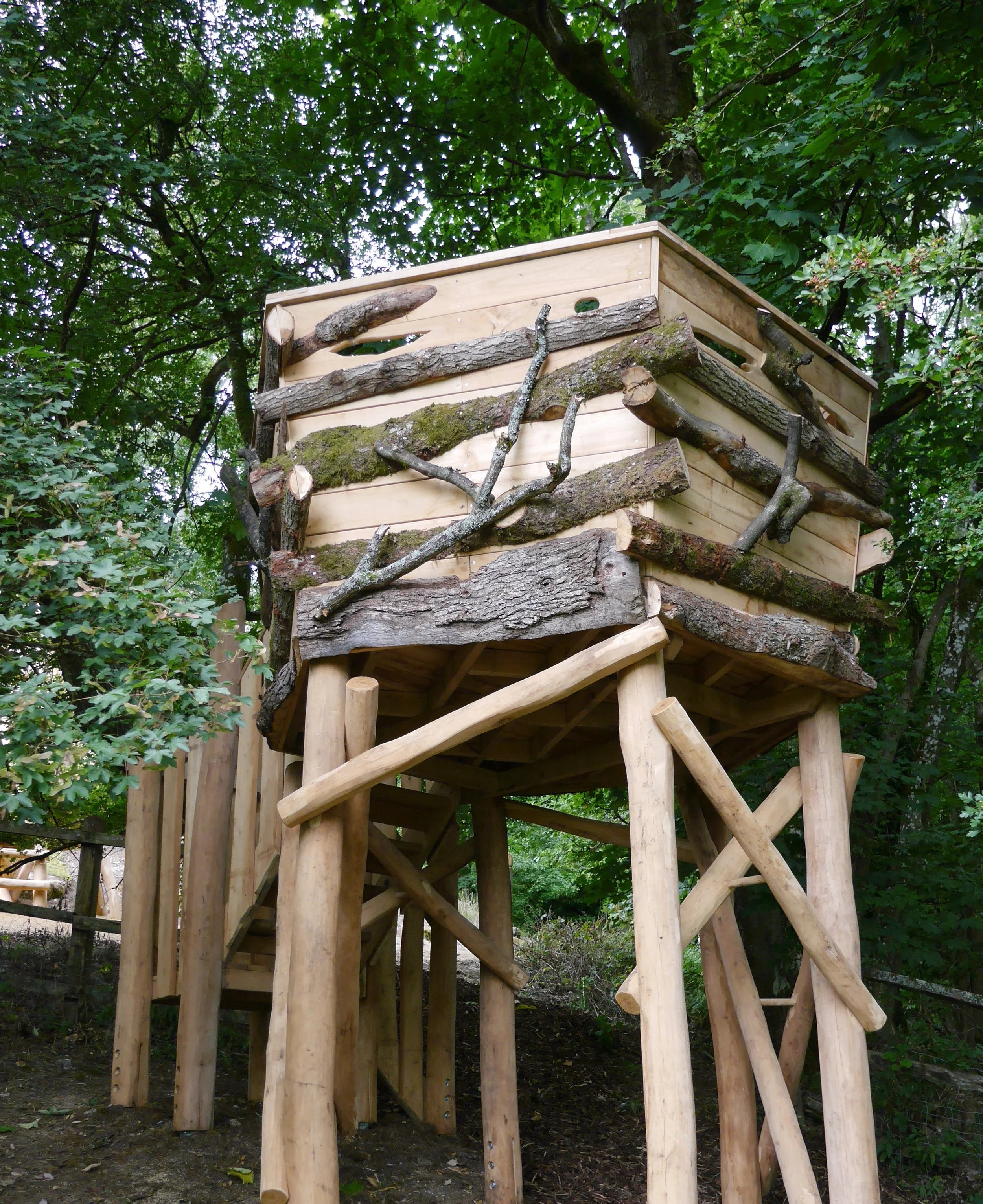 A treehouse constructed with wooden logs and planks, elevated on tall wooden stilts amidst green trees.