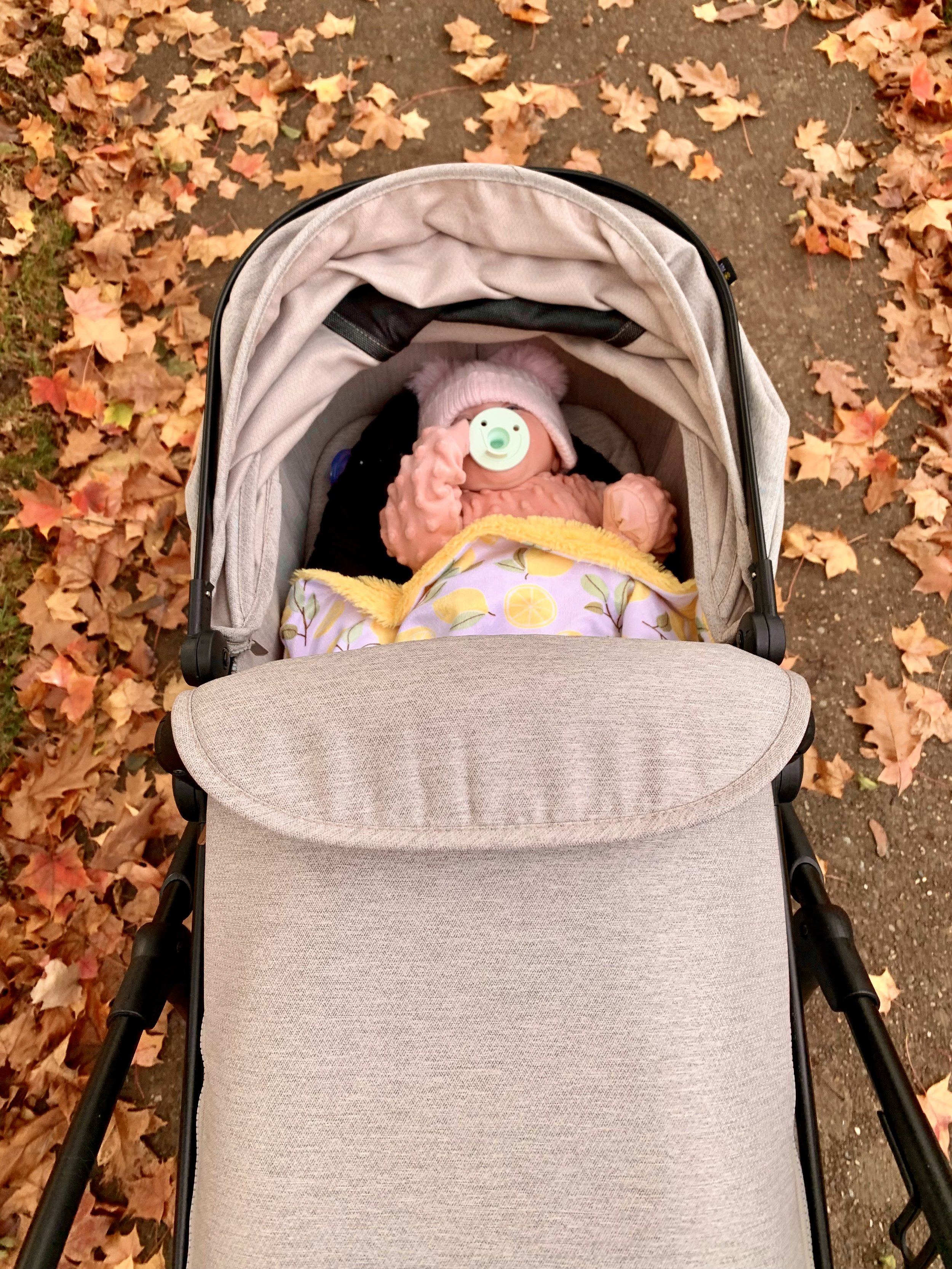 A baby in a stroller wearing a pink knit hat, a pacifier, and wrapped in a blanket with lemon pattern, surrounded by fallen autumn leaves.
