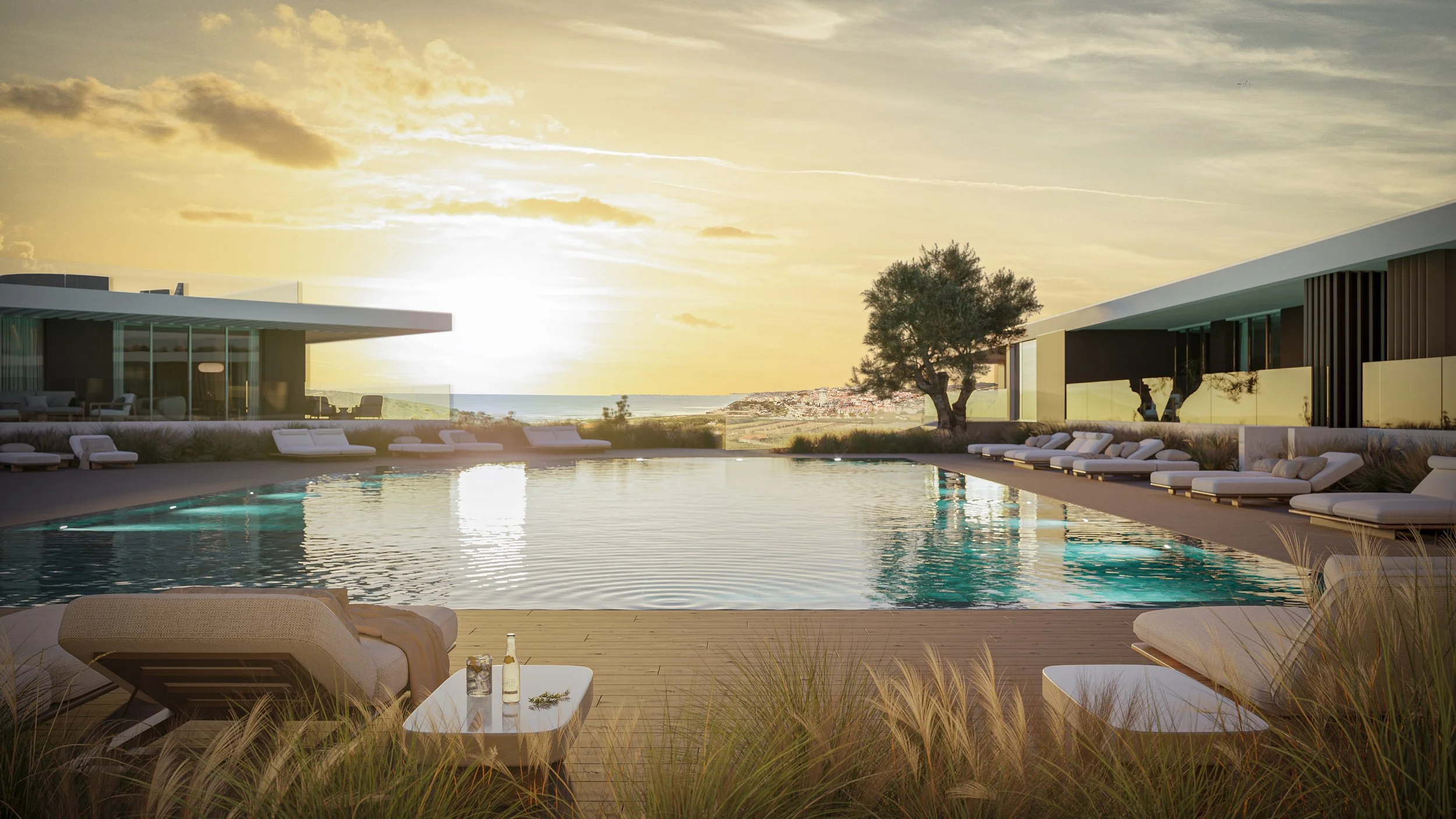 Modern outdoor swimming pool area with lounge chairs, a tree, and a sunset view over the ocean.