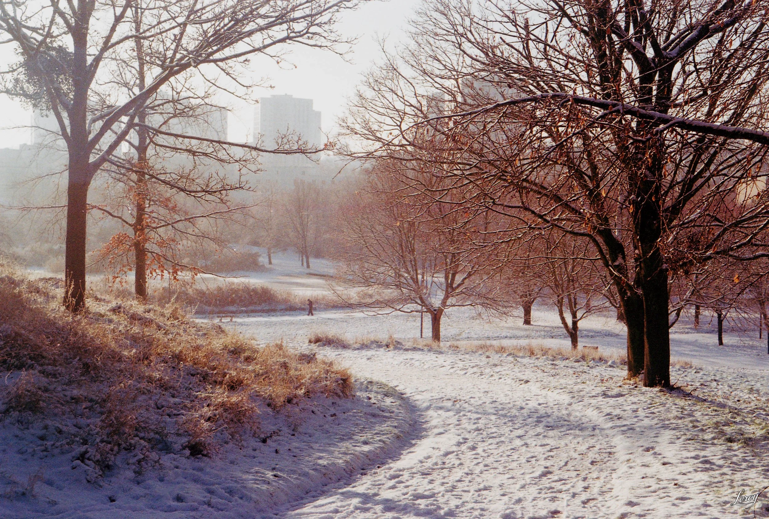 Ile de France - Neige 2026