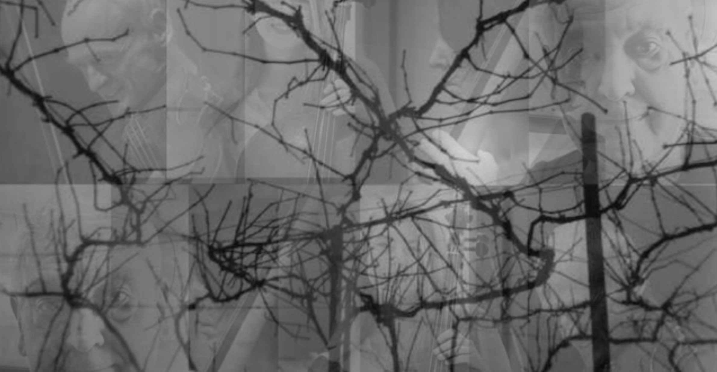 connected not connected