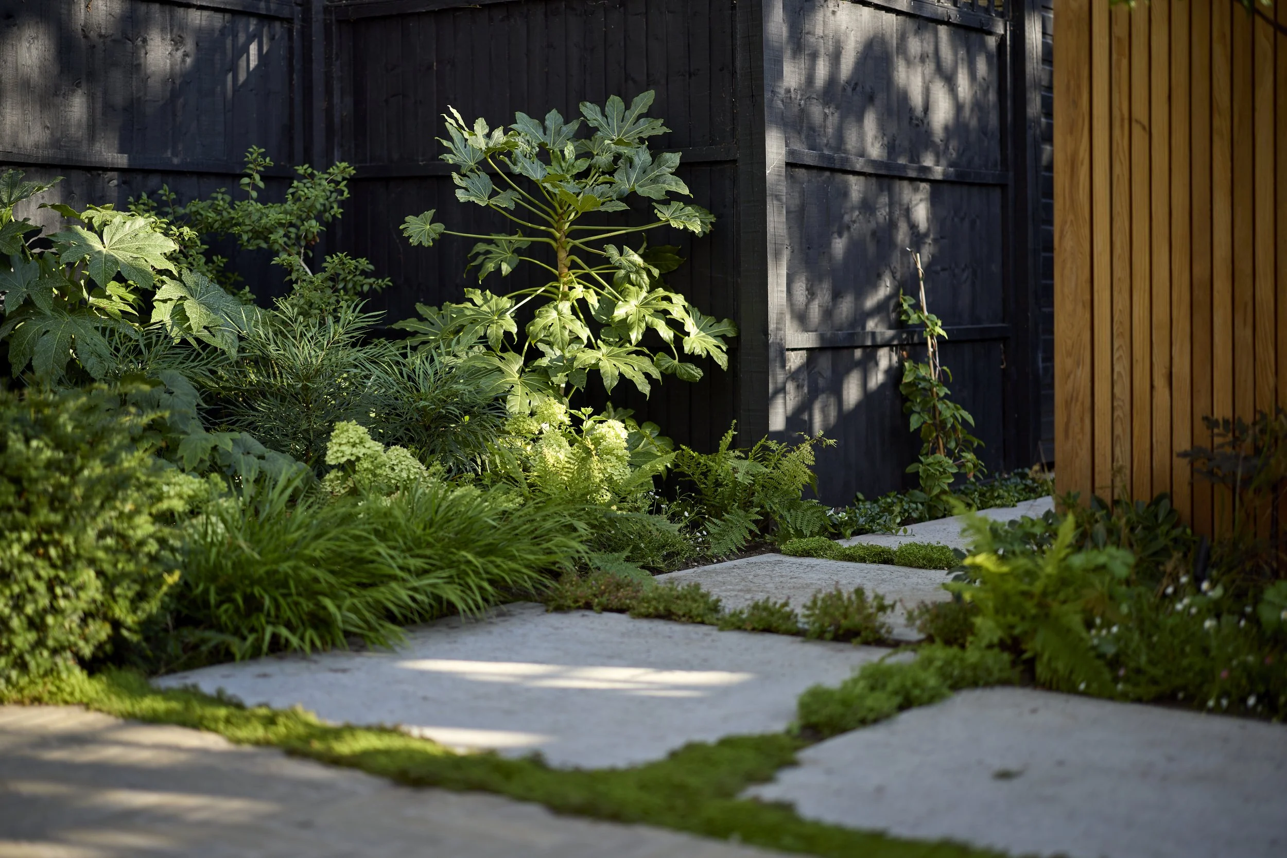 S&S-Lammas-Planting_T1_9004.jpg