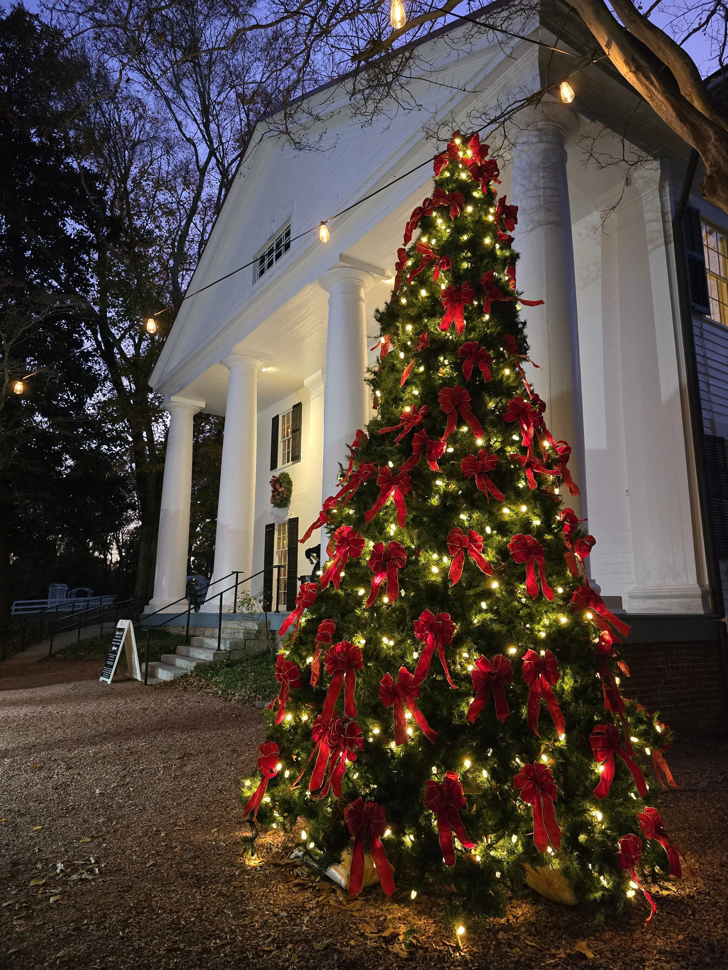 Christmas Tree Lighting