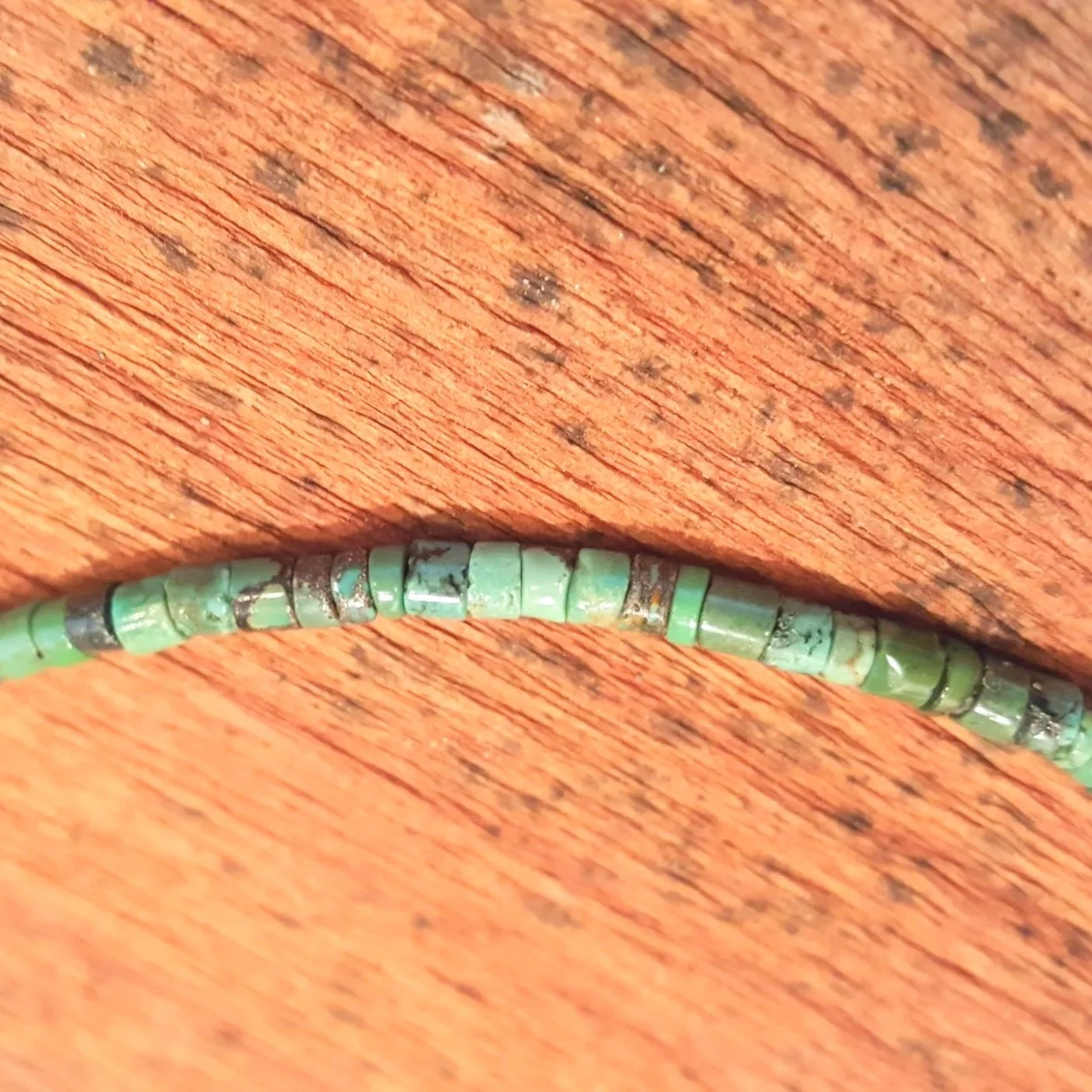 20190320_153320.jpg