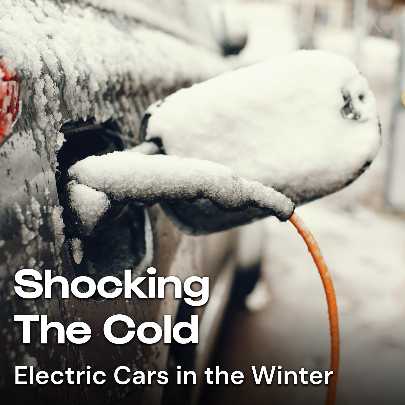 Shocking The Cold
