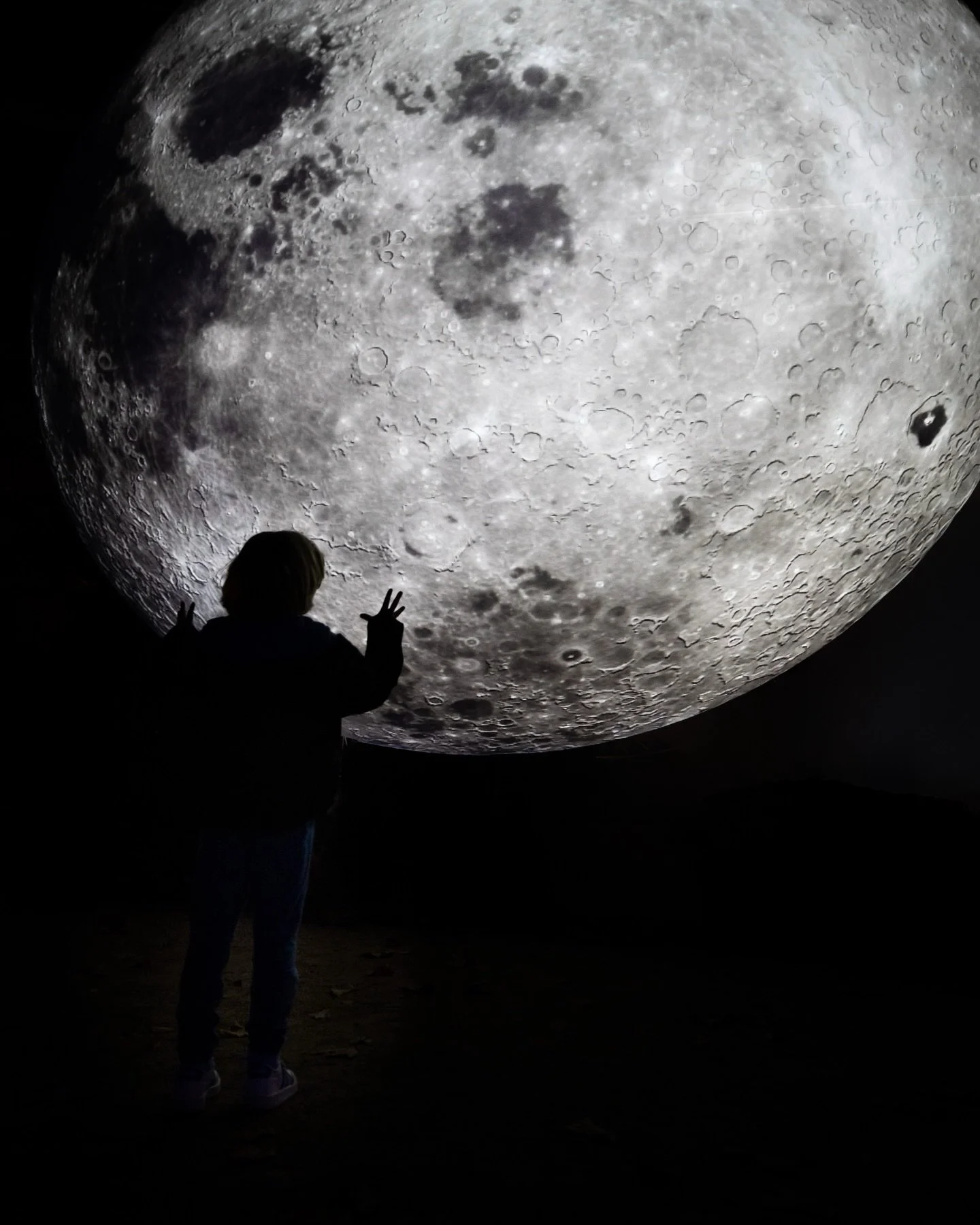 Quand la lumi&egrave;re, la nature et le public entrent en conversation ✨

Retour sur le shoot d&rsquo;en voie d&rsquo;illuminations, l&rsquo;expo @le_museum mettant &agrave; l&rsquo;honneur les lumi&egrave;res de la nature.

Merci et 👏 @le_museum @