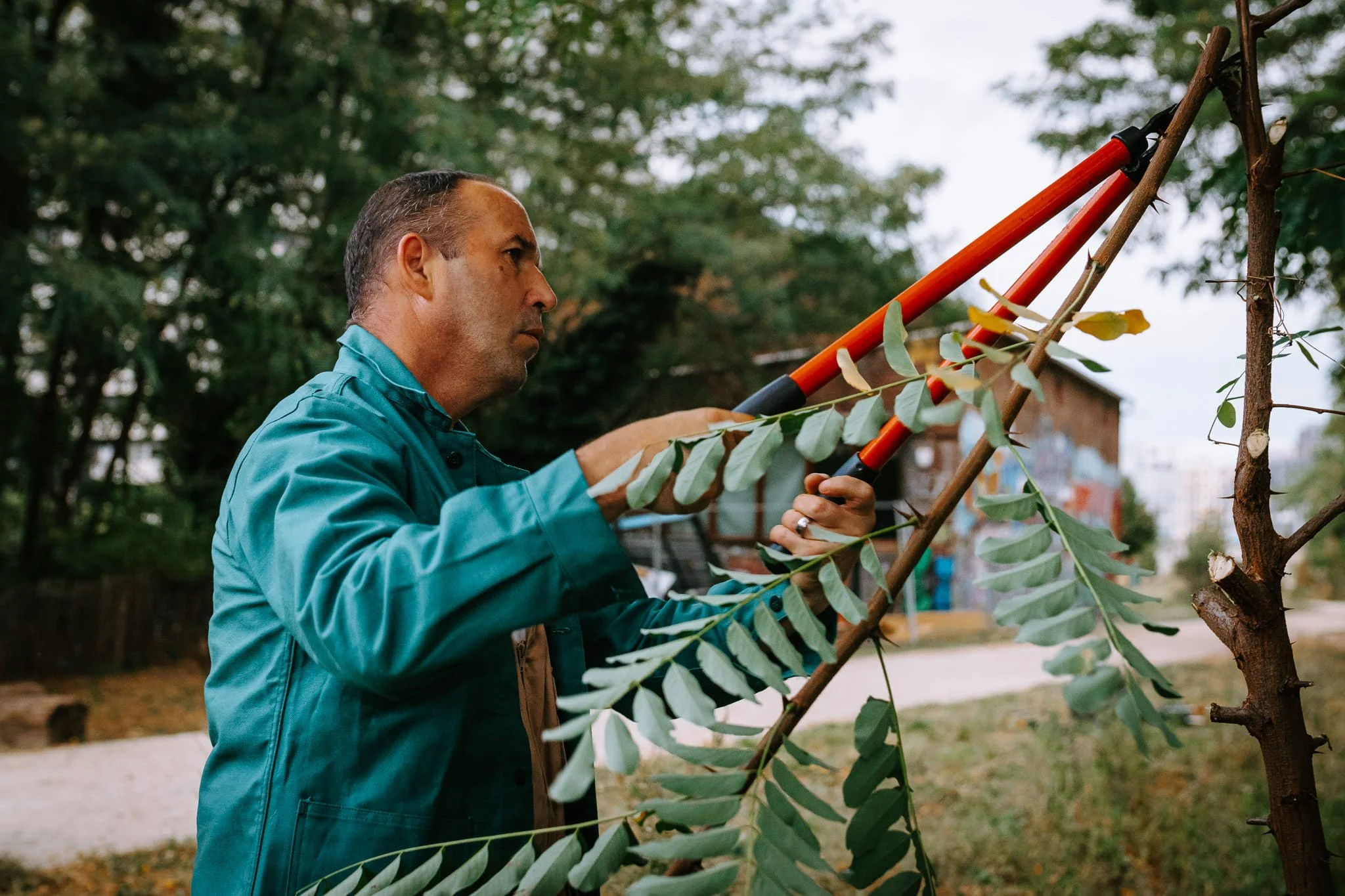 Reportage photo dans une association d'insertion spécialisée dans les chantiers d'espaces verts. On y voit un homme couper une branche avec des sécateurs sur la petite ceinture parisienne.