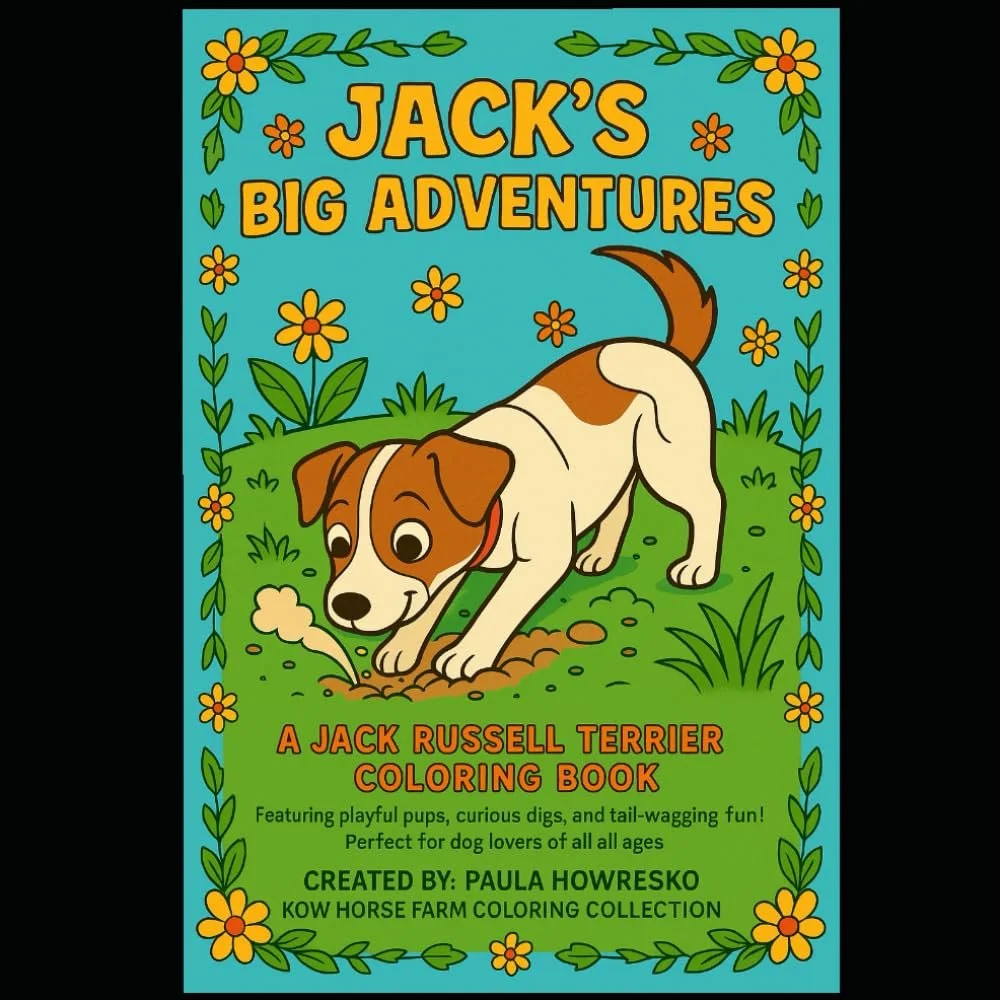 jack's big adventur.jpg
