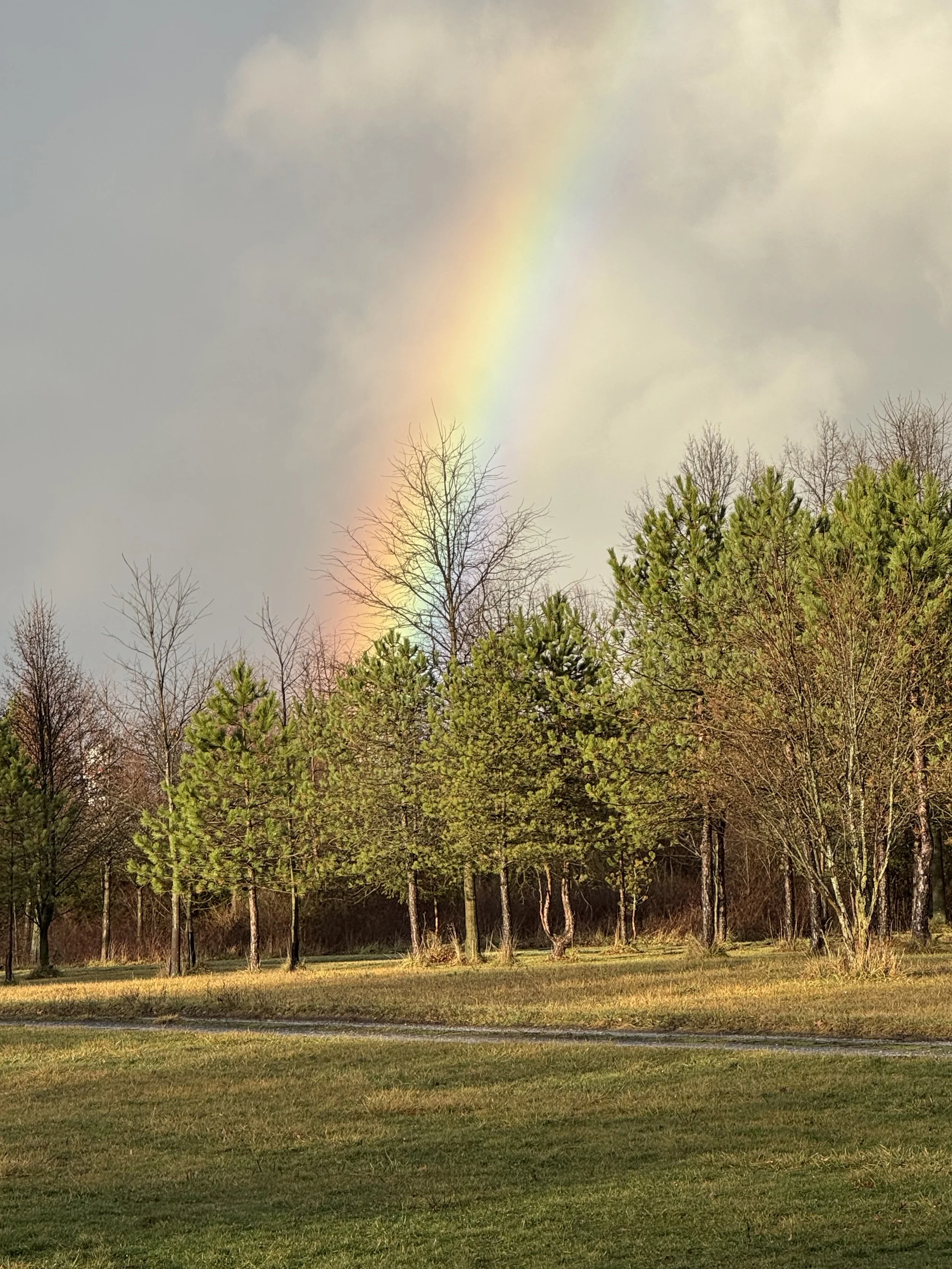 🌿 Day 5 – Delighting in Mercy