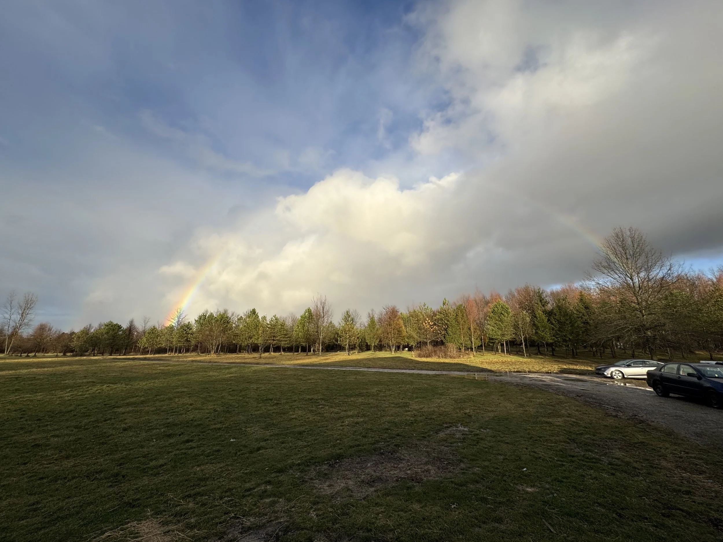 🌿 Day 8 – No Condemnation