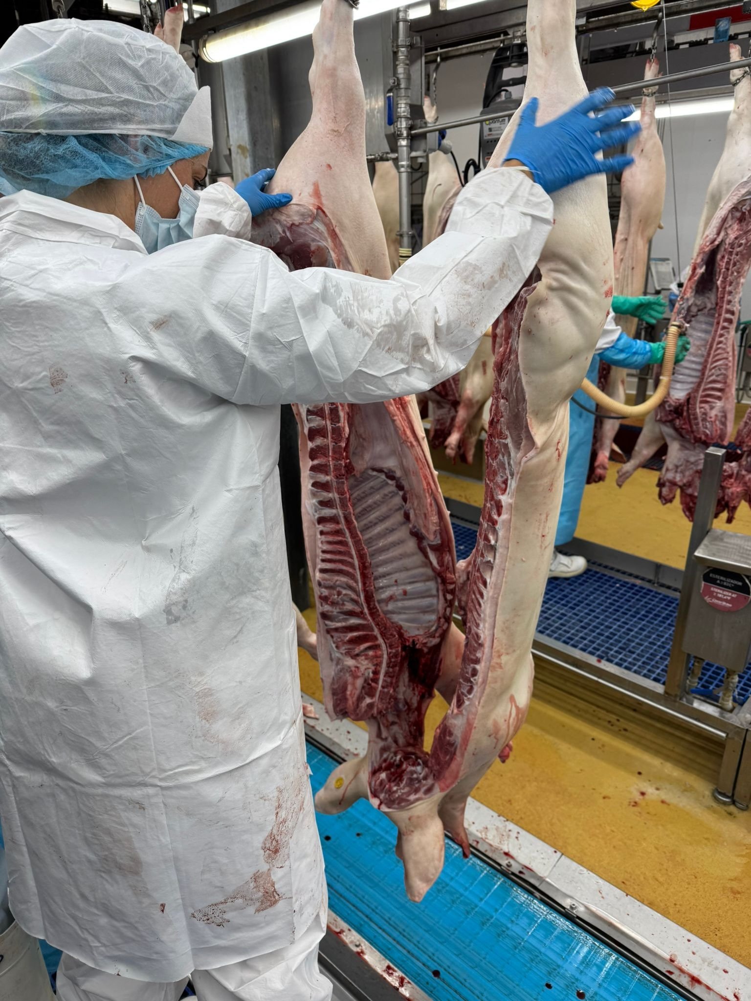 El inspector de sanidad en Cataluña: 45 años de evolución