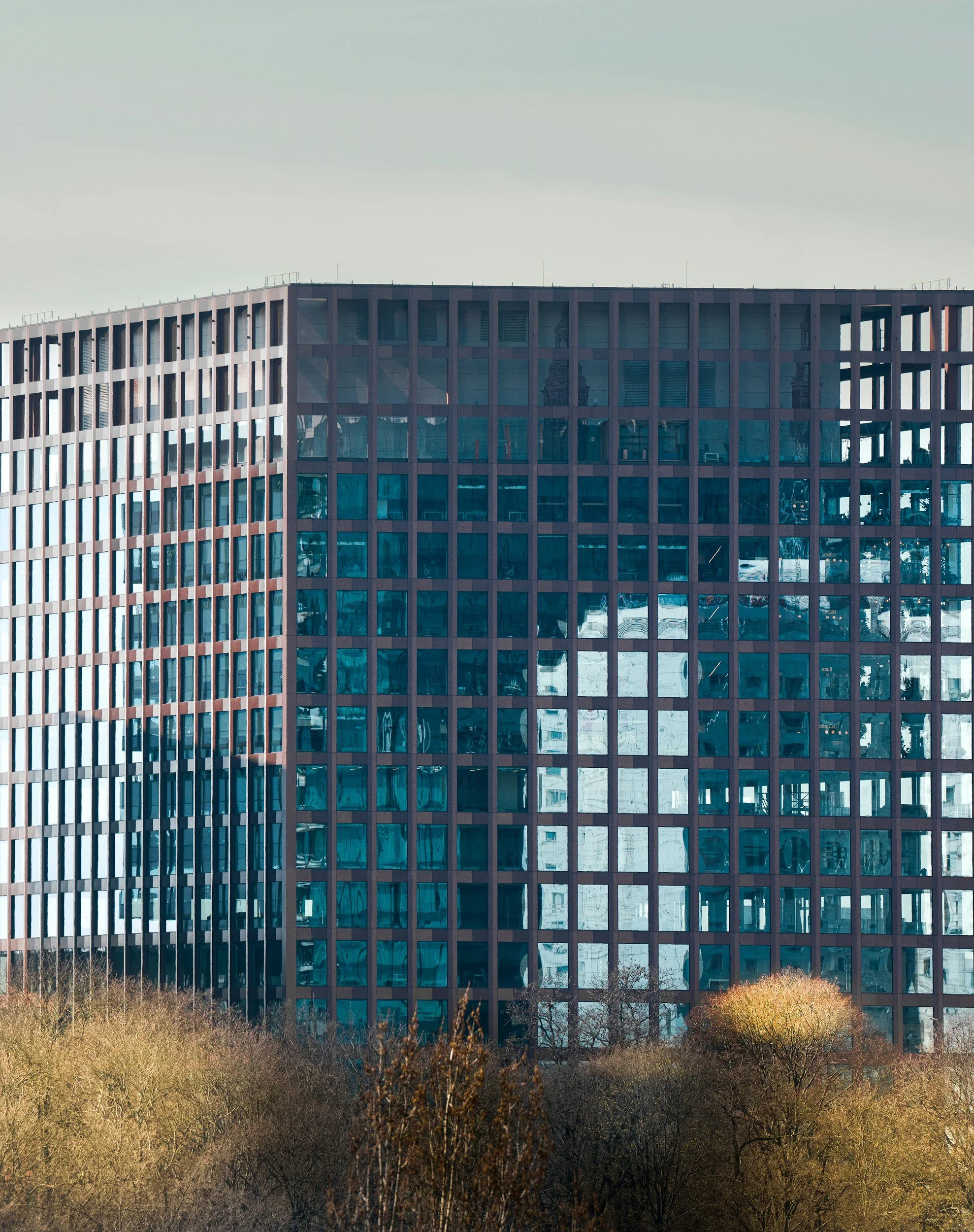 Edificio moderno con fachada de ventanas de cristal y estructura metálica, reflejando otras construcciones en su superficie; en primer plano, árboles sin hojas y arbustos en un área de césped.