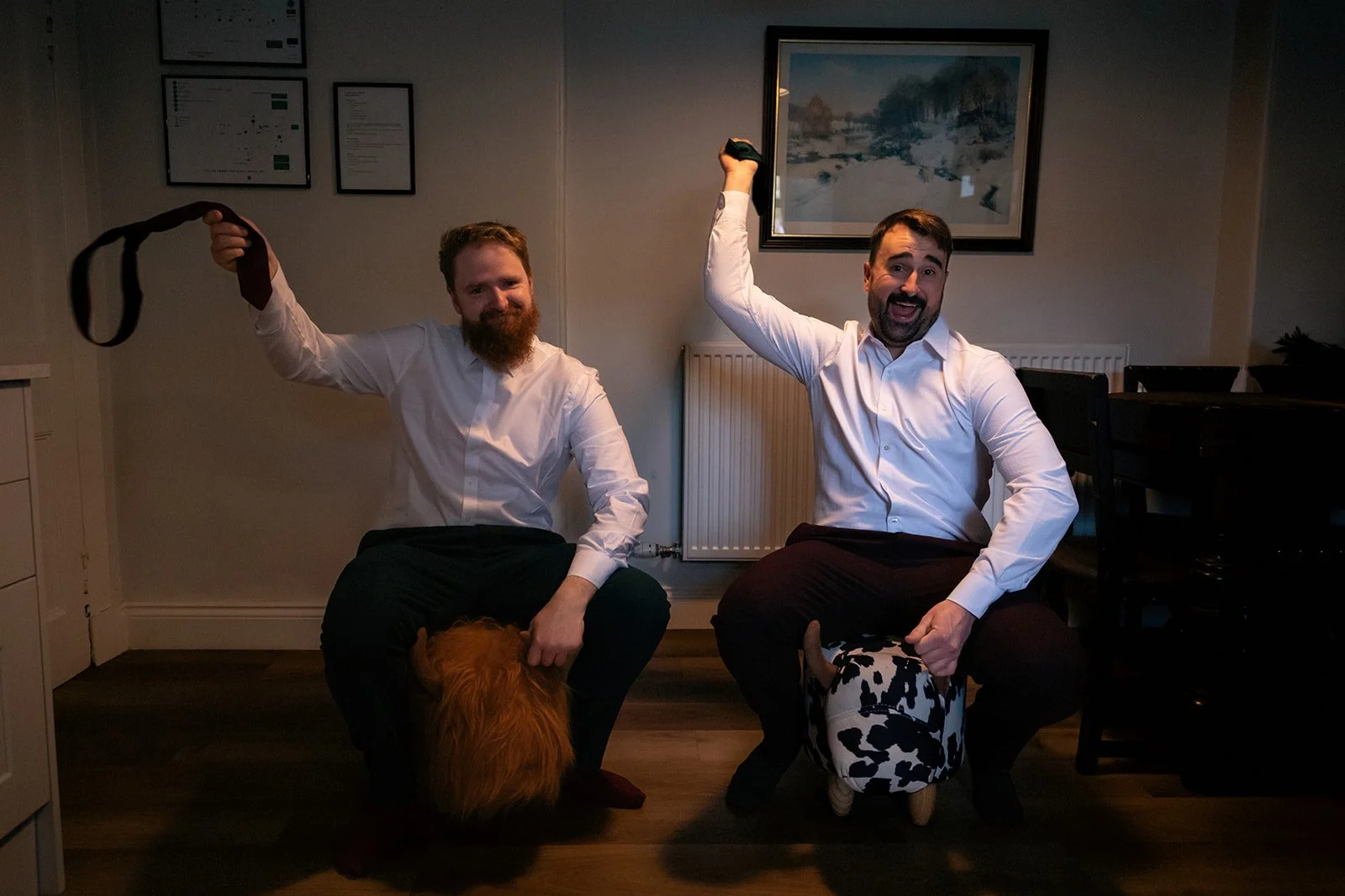 Quirky wedding photos - Groom and best man highland cow rodeo