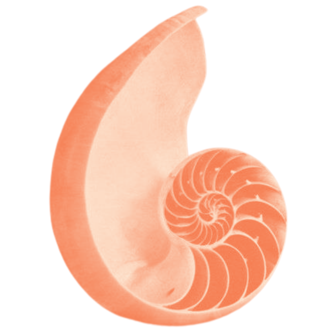 soundbath: the art of rest