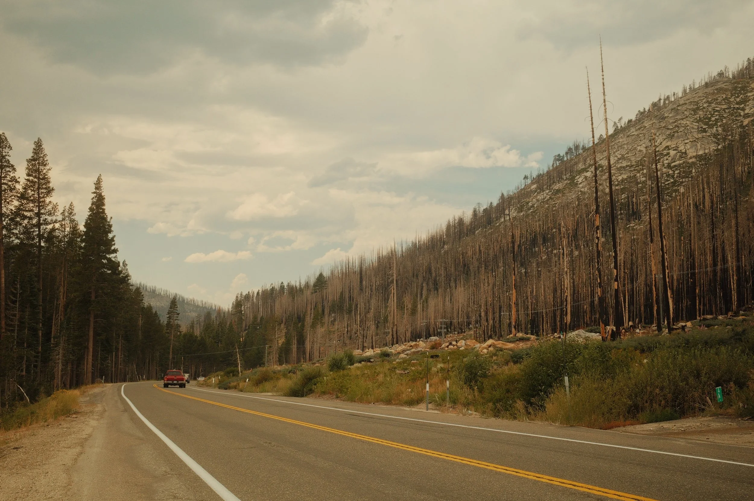A remote mountain road with a red car driving along it, surrounded by trees and a hillside with burned trees under a cloudy sky.