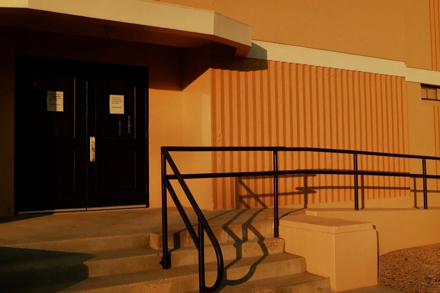 Golden hour exterior view of a building entrance with a black door, steps with a black metal railing, and a textured wall with vertical stripes.