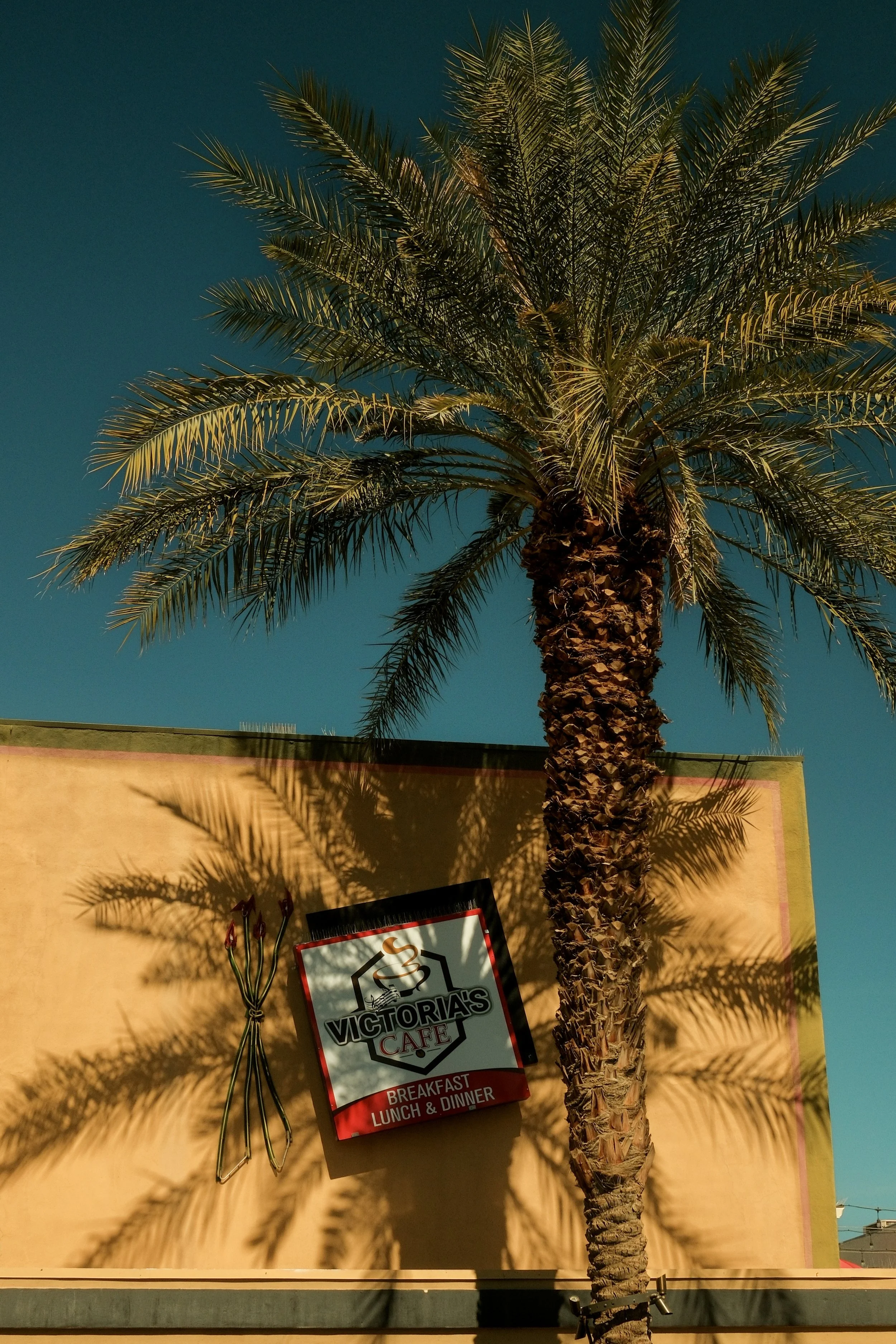 A tall palm tree casts a shadow on the wall of a building with a Victoria's Cafe sign, which advertises breakfast, lunch, and dinner. The sky is clear and blue.