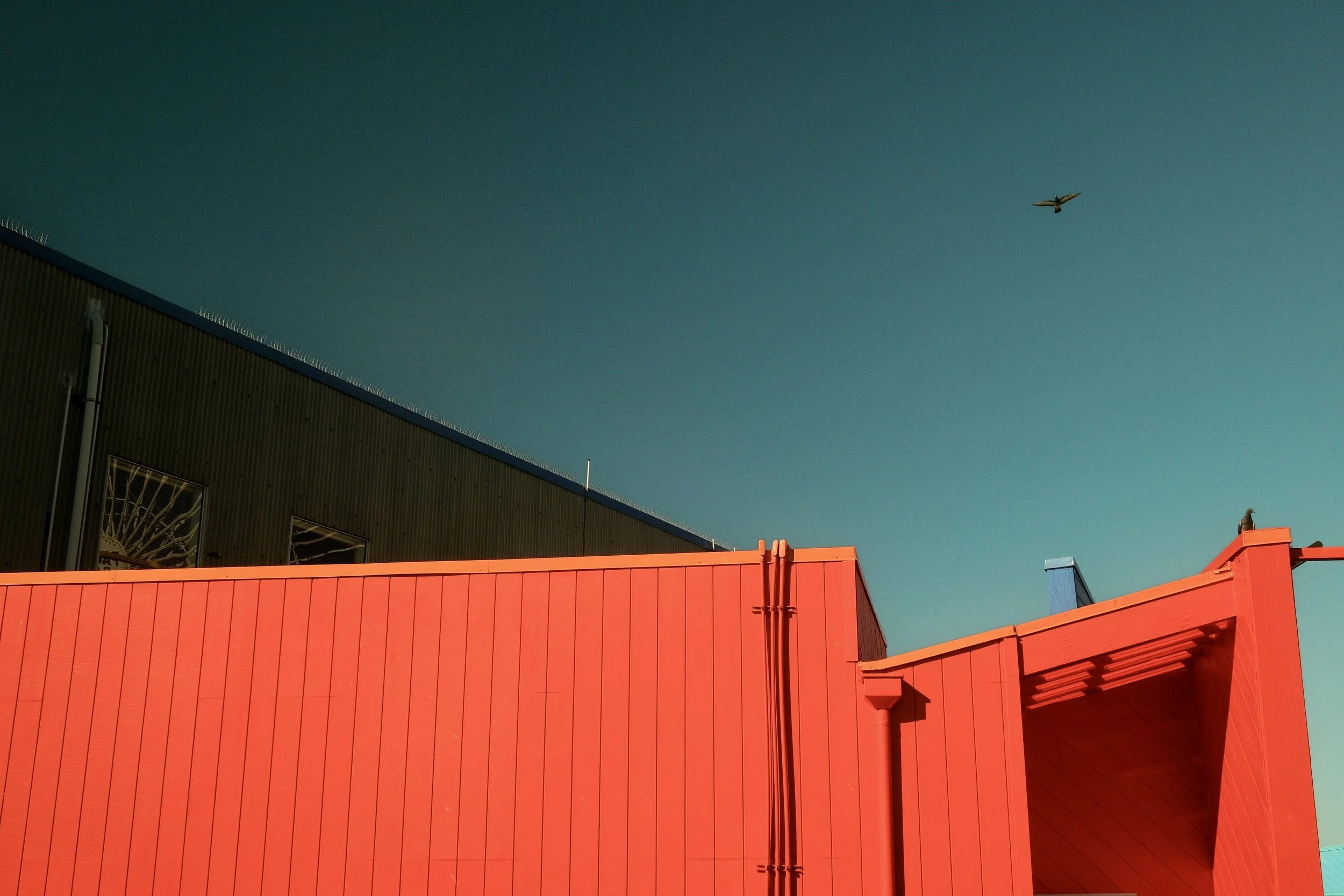 Photo of two colorful industrial buildings, one red and one dark green, against a clear blue sky with a bird flying overhead.