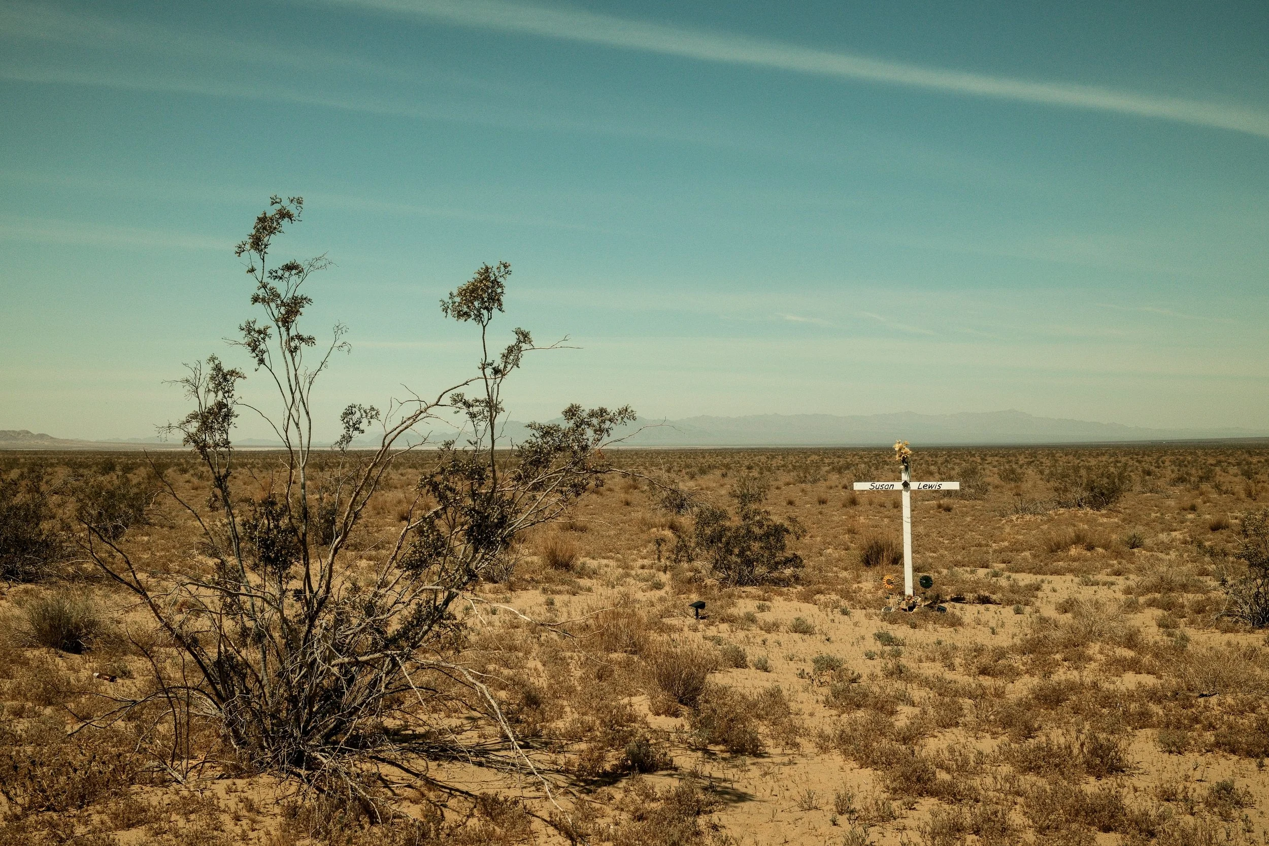 A desert scene with sparse vegetation and a white cross memorial with the name 'Susan Lewis' in the distance.